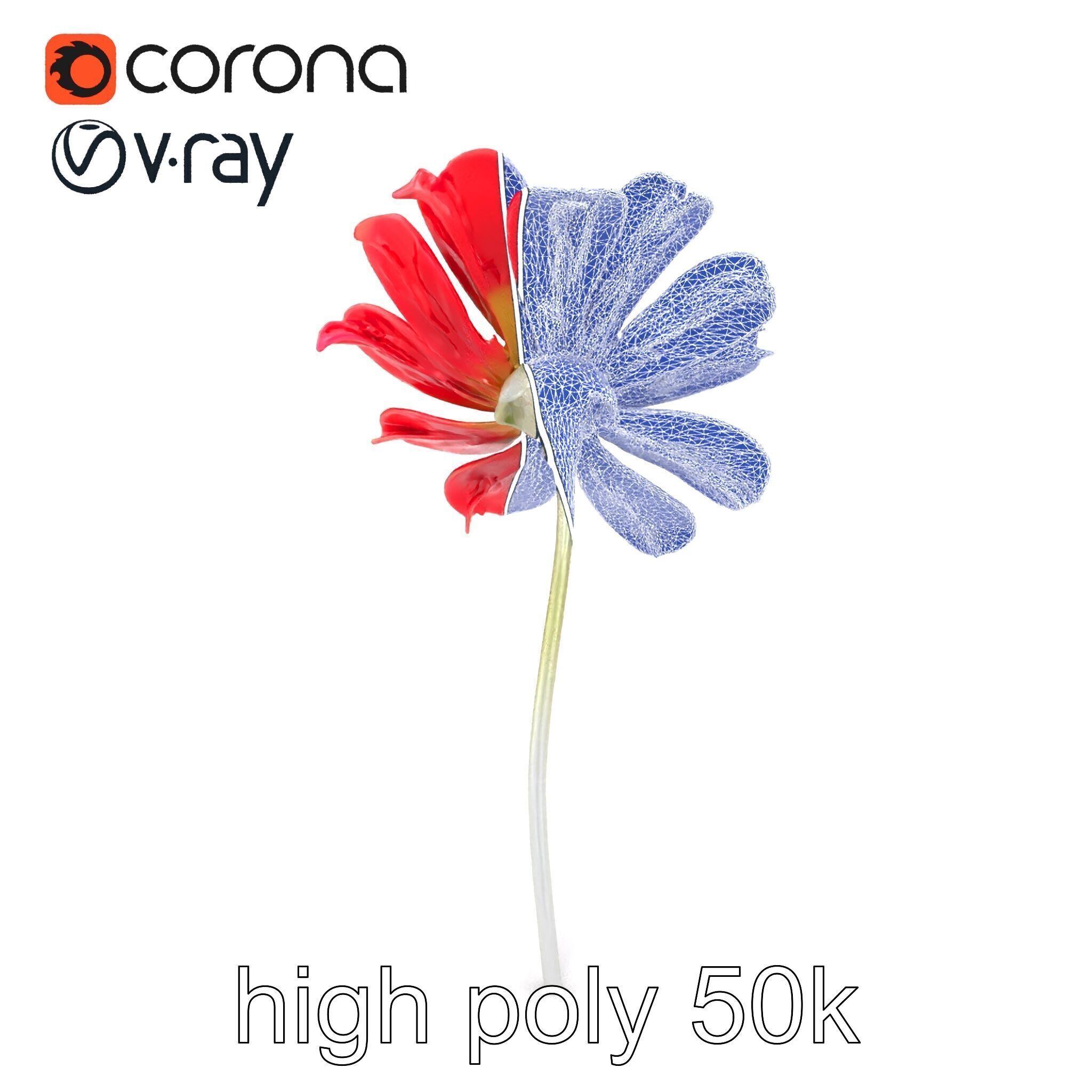 Lavandula Red Flower Detailed Botanical Model Pack Low-poly 3D model_29