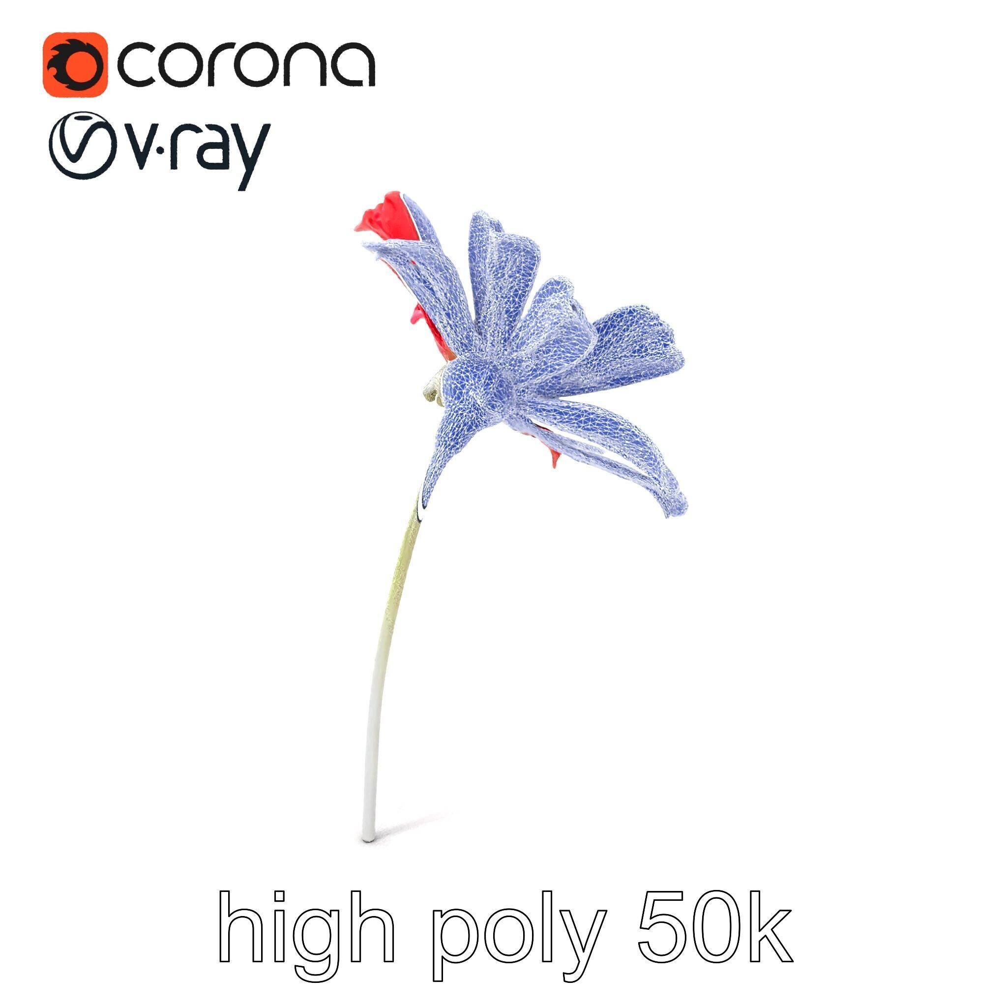 Lavandula Red Flower Detailed Botanical Model Pack Low-poly 3D model_1