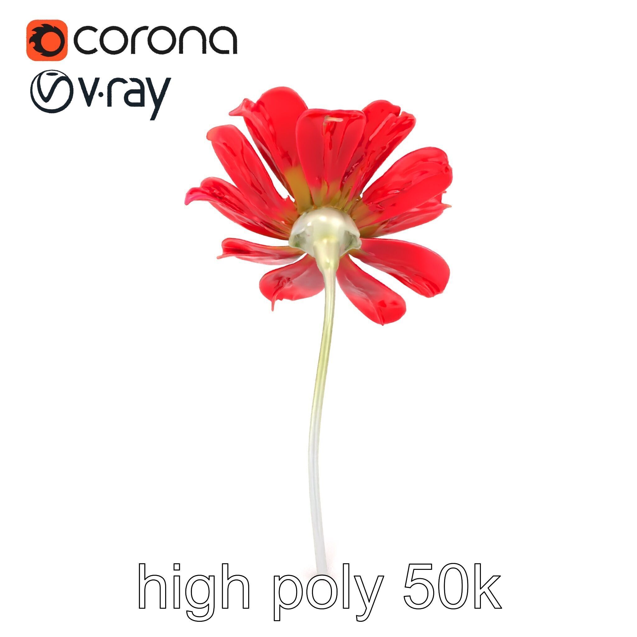 Lavandula Red Flower Detailed Botanical Model Pack Low-poly 3D model_21