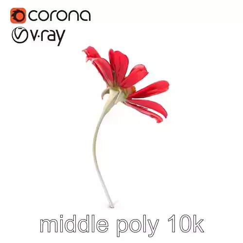 Lavandula Red Flower Detailed Botanical Model Pack Low-poly 3D model Lavandula Red Flower Detailed Botanical Model Pack Low-poly 3D model