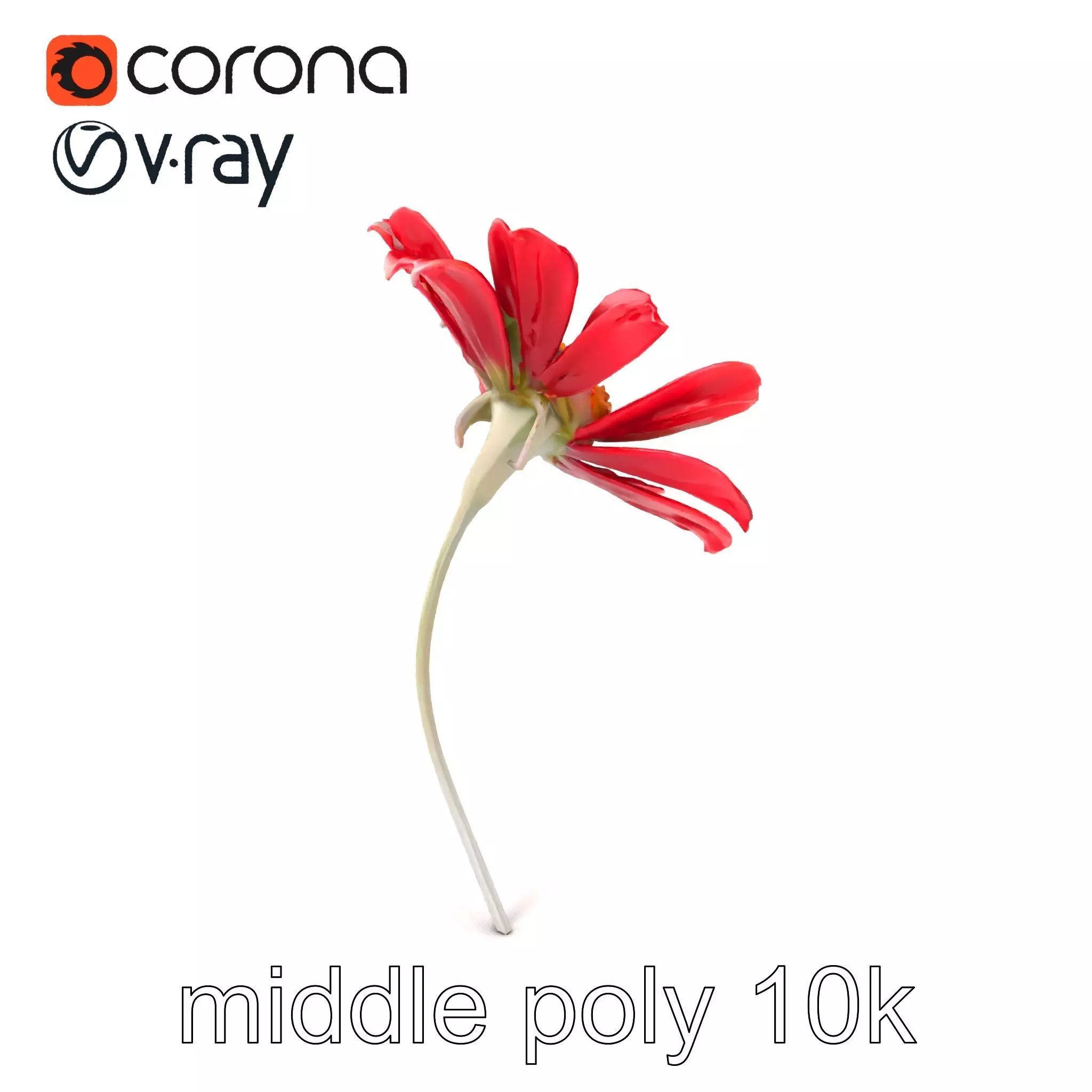 Lavandula Red Flower Detailed Botanical Model Pack Low-poly 3D model_0