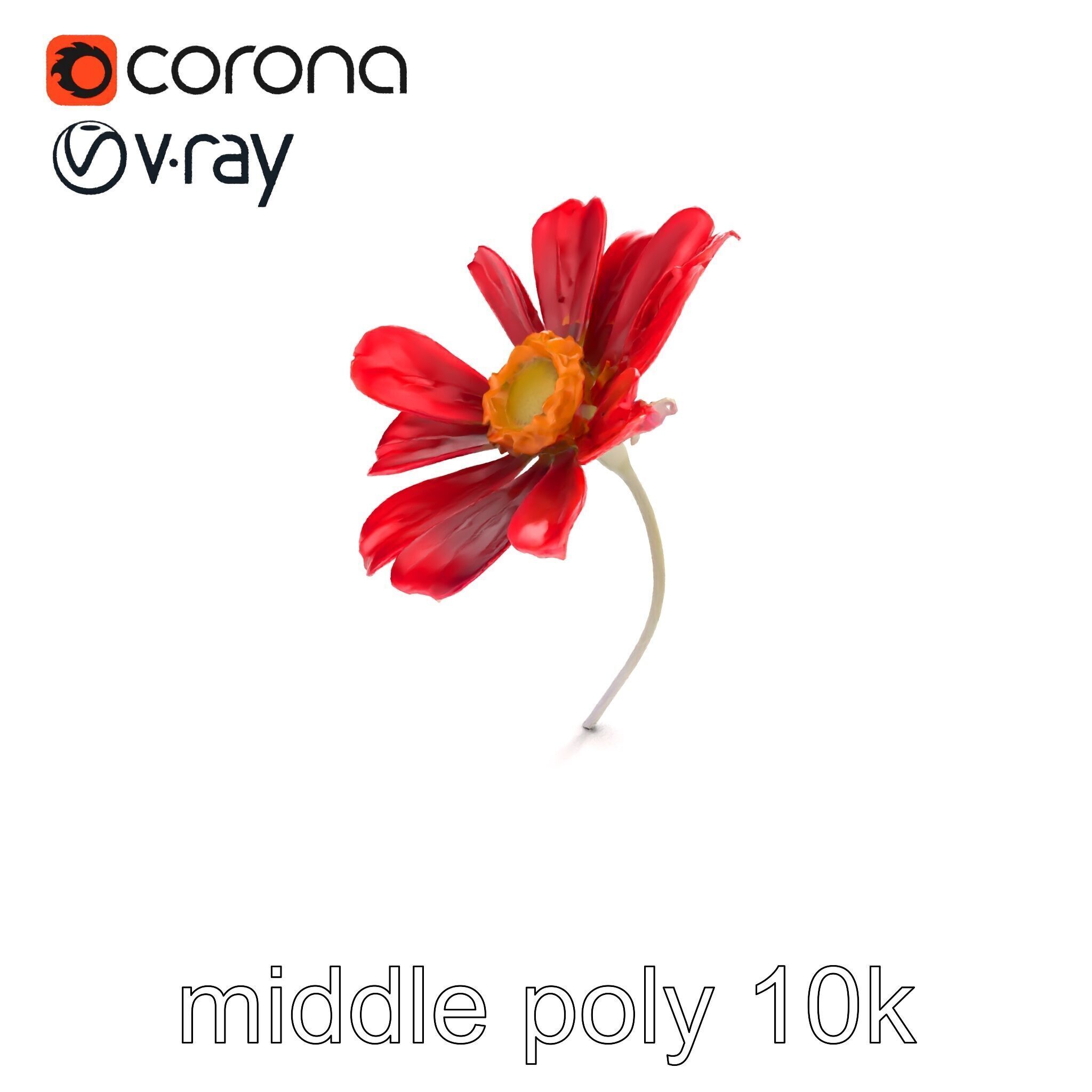 Lavandula Red Flower Detailed Botanical Model Pack Low-poly 3D model_7