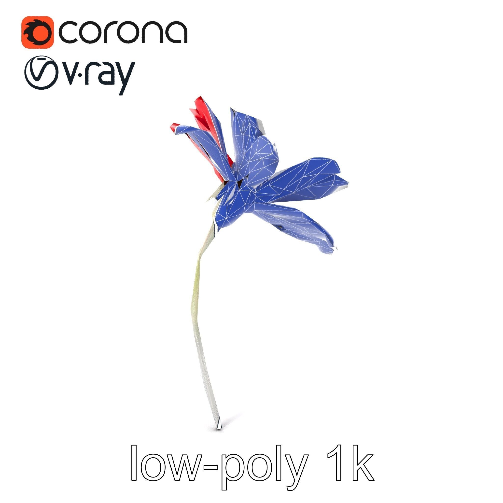 Lavandula Red Flower Detailed Botanical Model Pack Low-poly 3D model_6