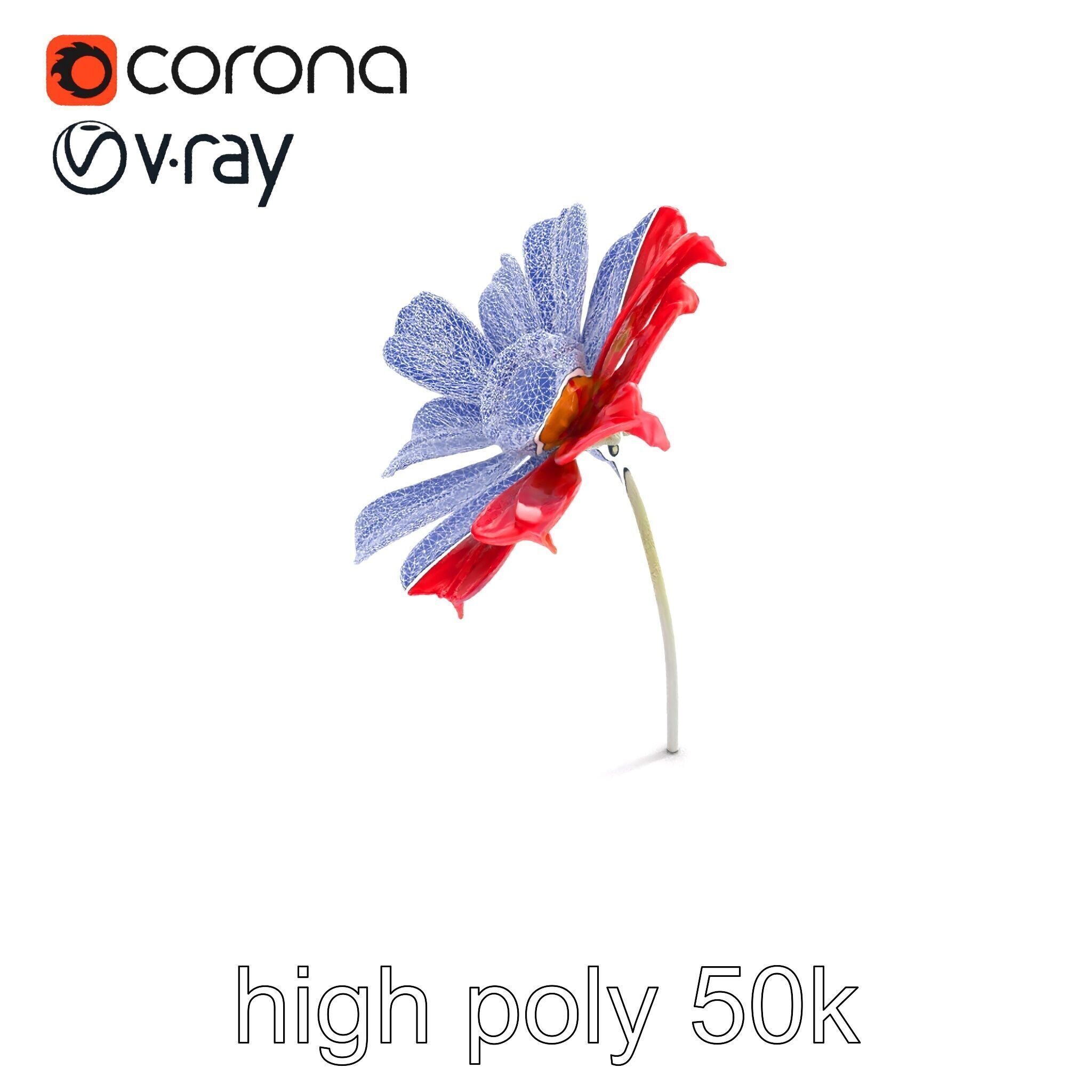 Lavandula Red Flower Detailed Botanical Model Pack Low-poly 3D model_23