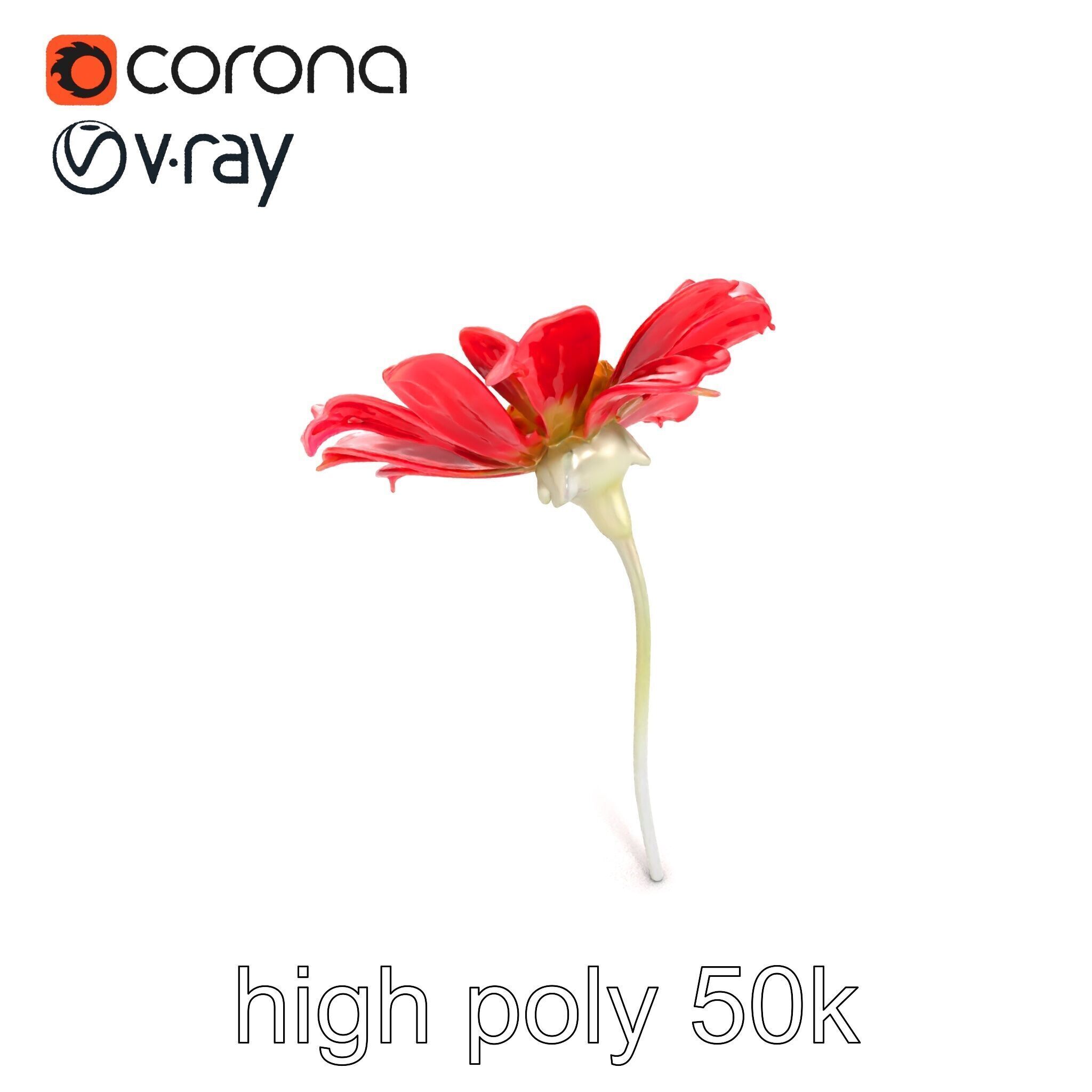 Lavandula Red Flower Detailed Botanical Model Pack Low-poly 3D model_11