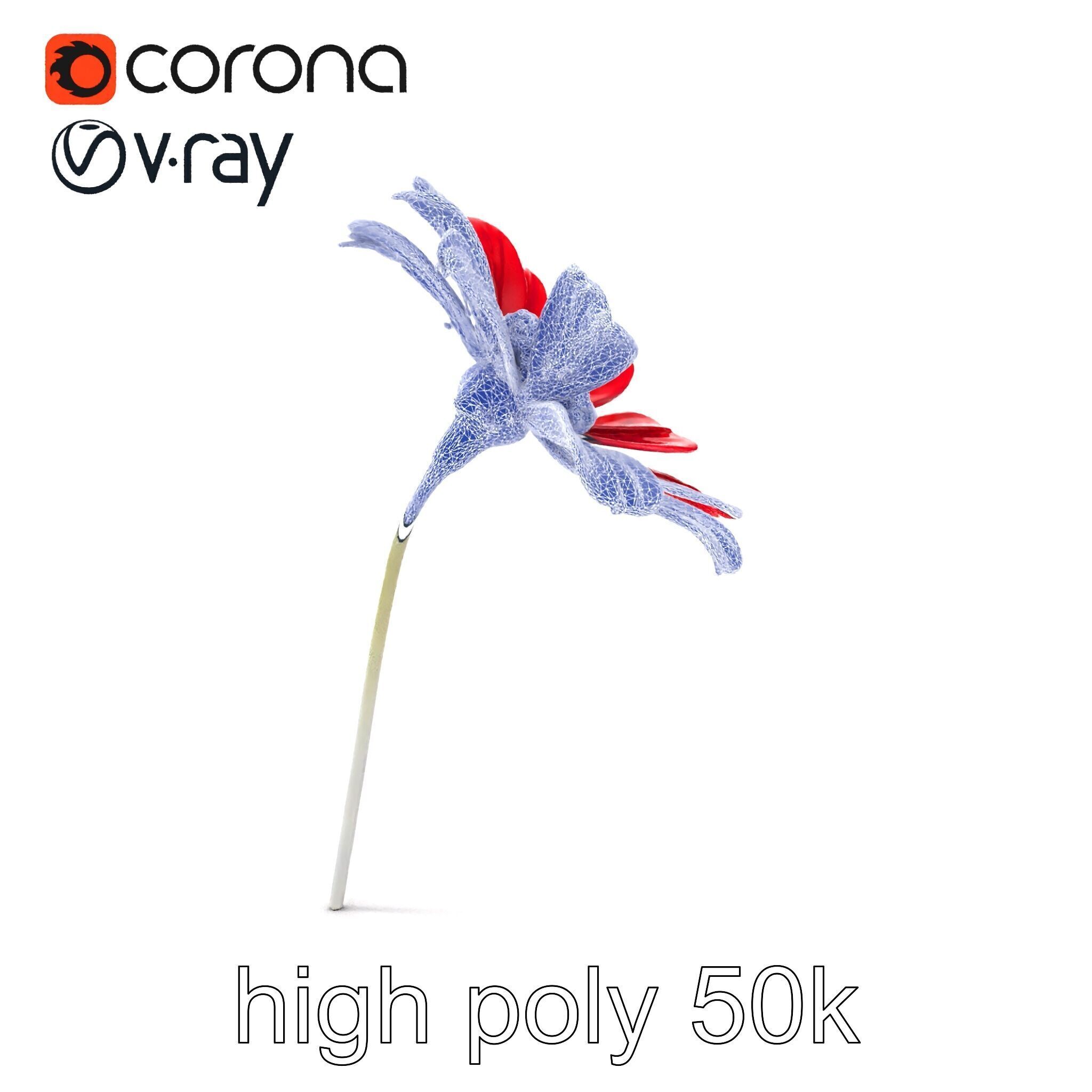 Lavandula Red Flower Detailed Botanical Model Pack Low-poly 3D model_13