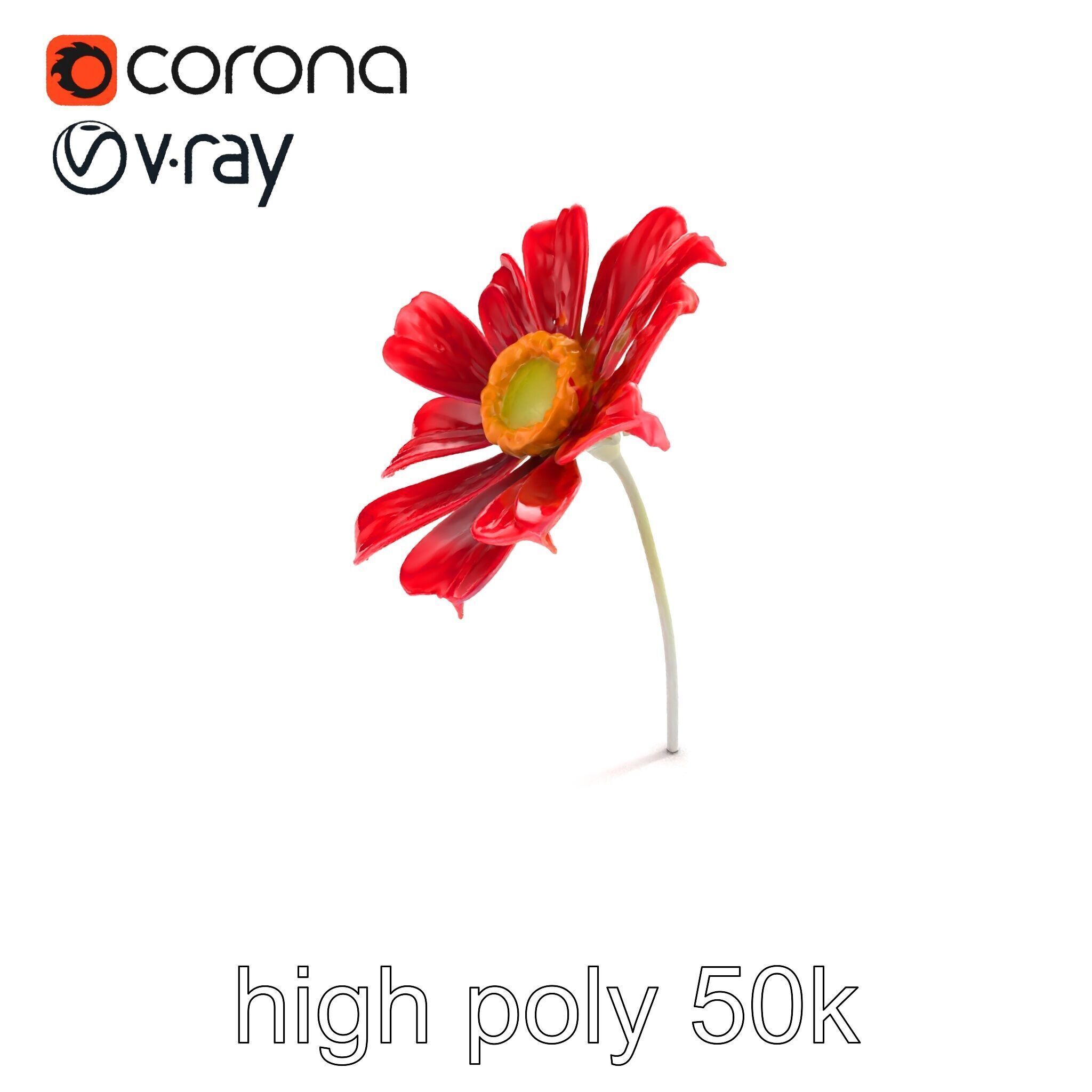 Lavandula Red Flower Detailed Botanical Model Pack Low-poly 3D model_9