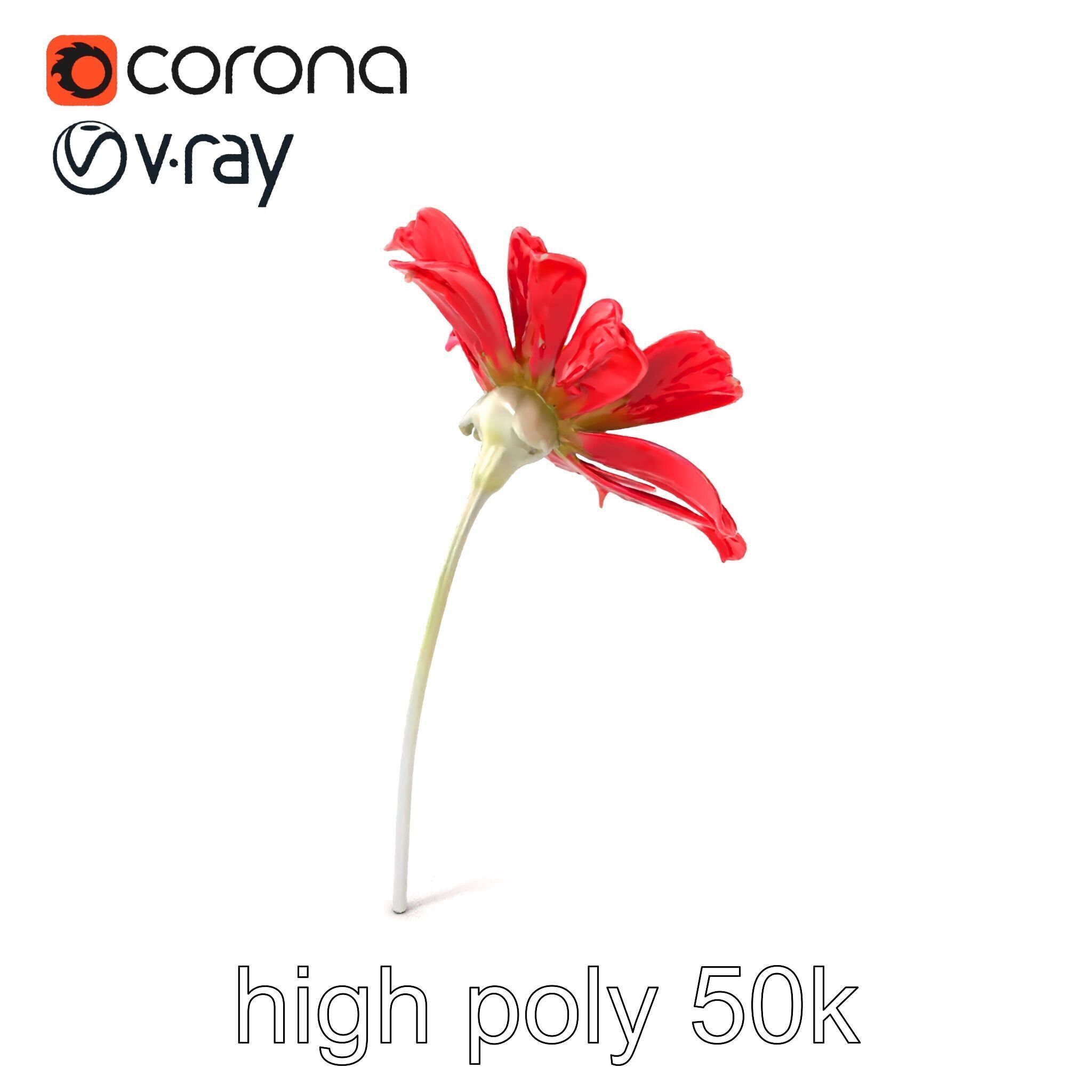 Lavandula Red Flower Detailed Botanical Model Pack Low-poly 3D model_2