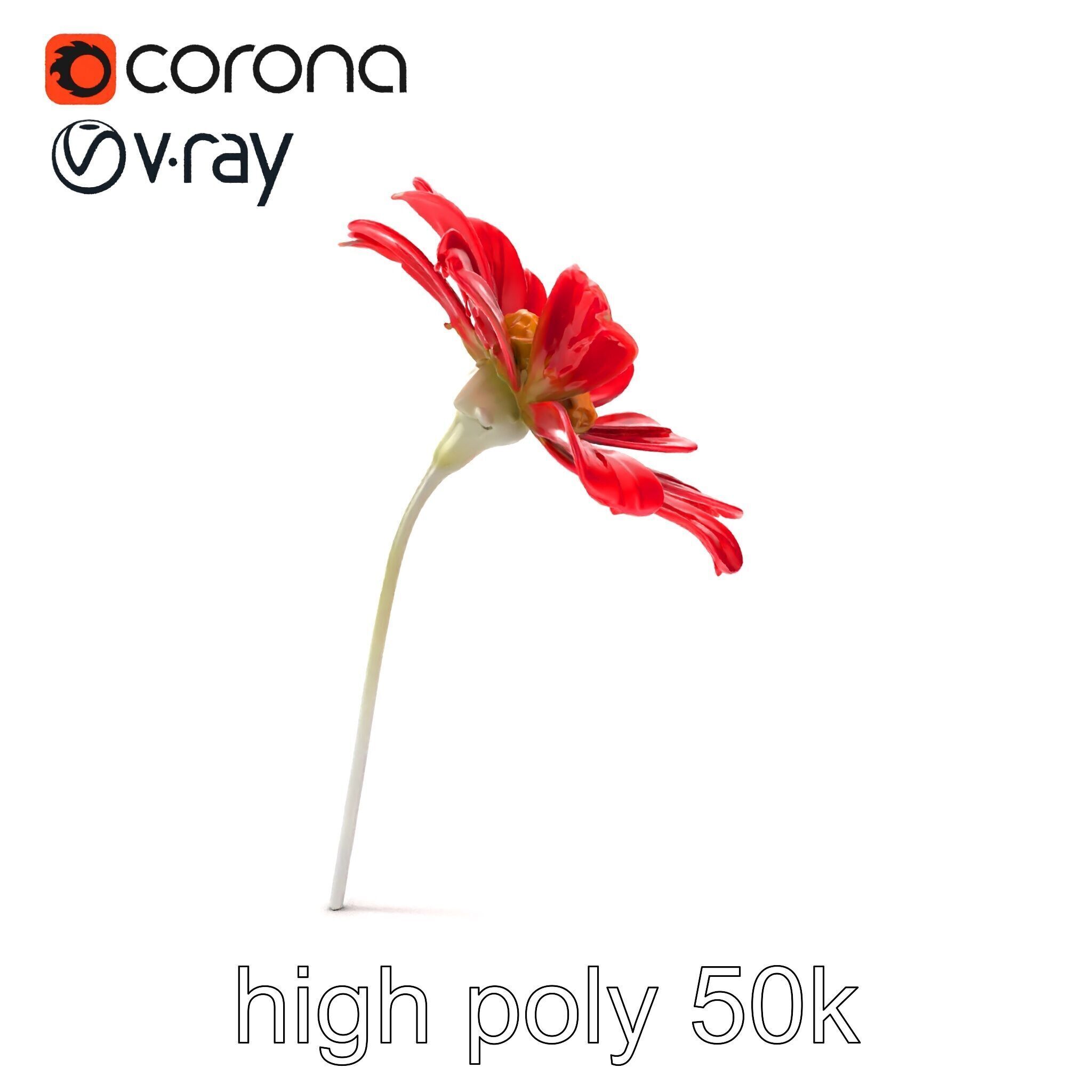 Lavandula Red Flower Detailed Botanical Model Pack Low-poly 3D model_14
