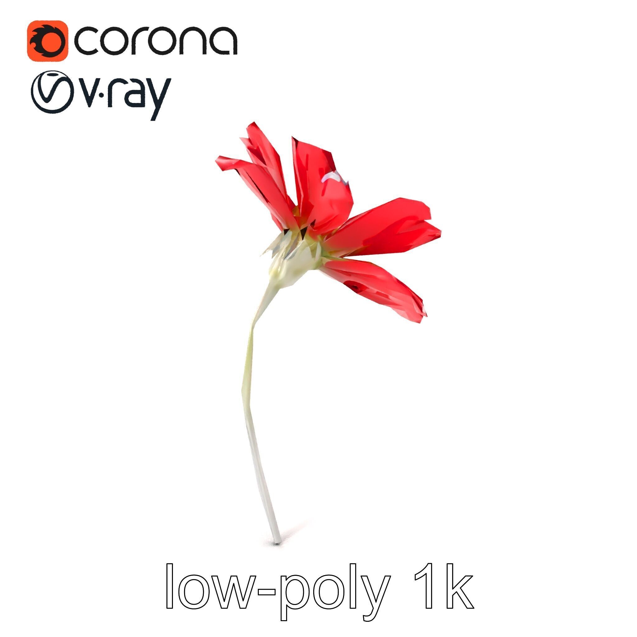 Lavandula Red Flower Detailed Botanical Model Pack Low-poly 3D model_4