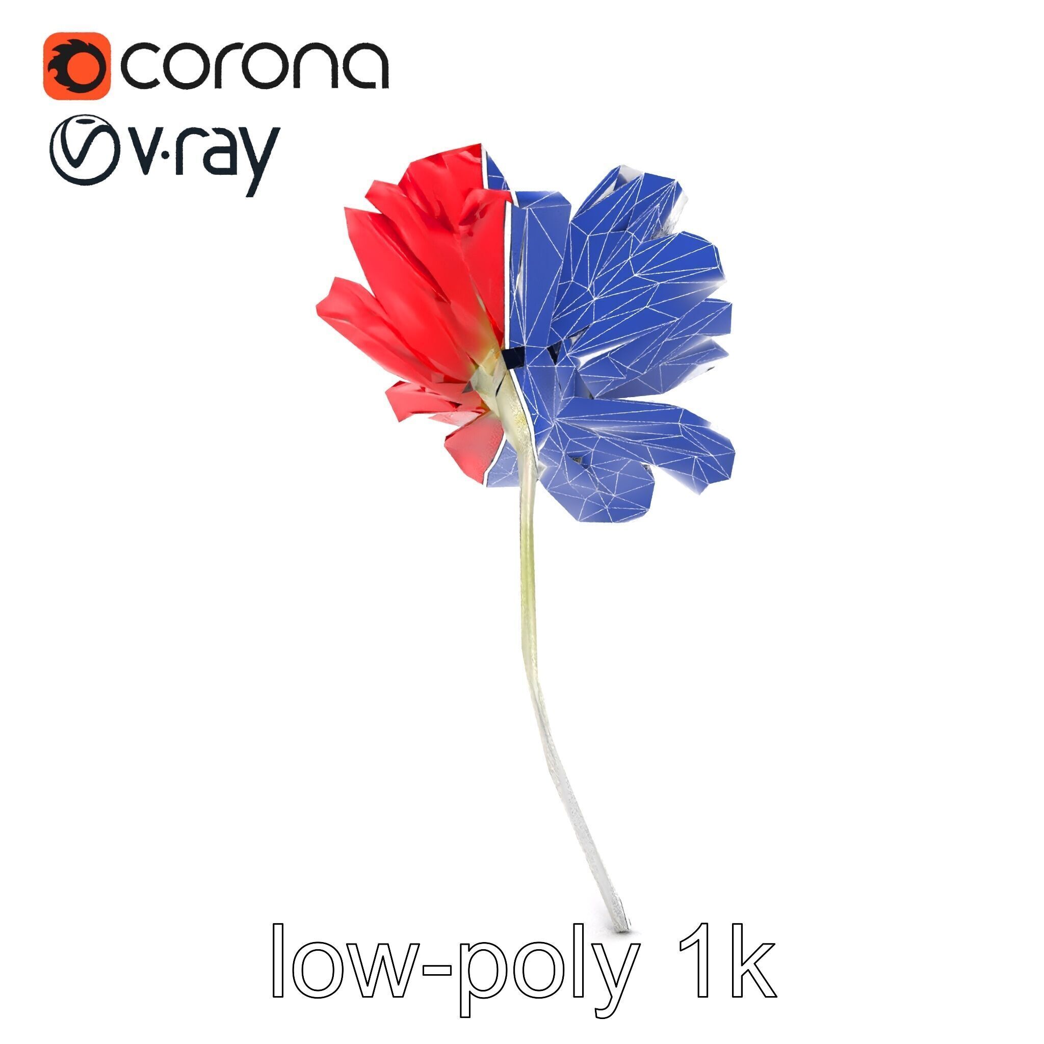 Lavandula Red Flower Detailed Botanical Model Pack Low-poly 3D model_28