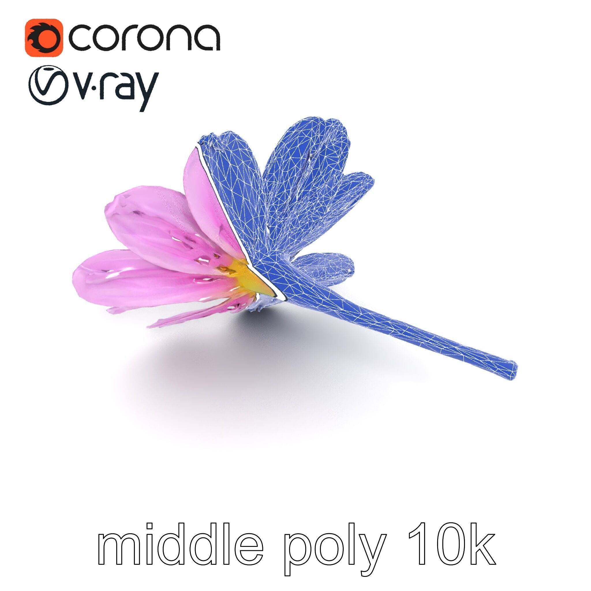 Lavandula Pink Botanical Sculpture model pack Low-poly 3D model_25