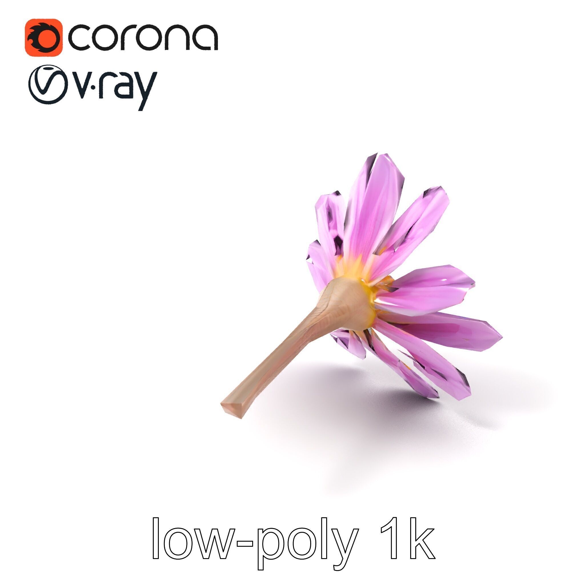 Lavandula Pink Botanical Sculpture model pack Low-poly 3D model_4