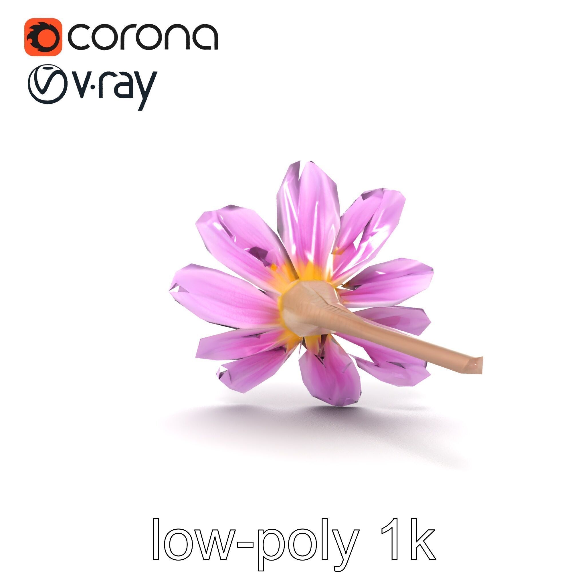 Lavandula Pink Botanical Sculpture model pack Low-poly 3D model_30