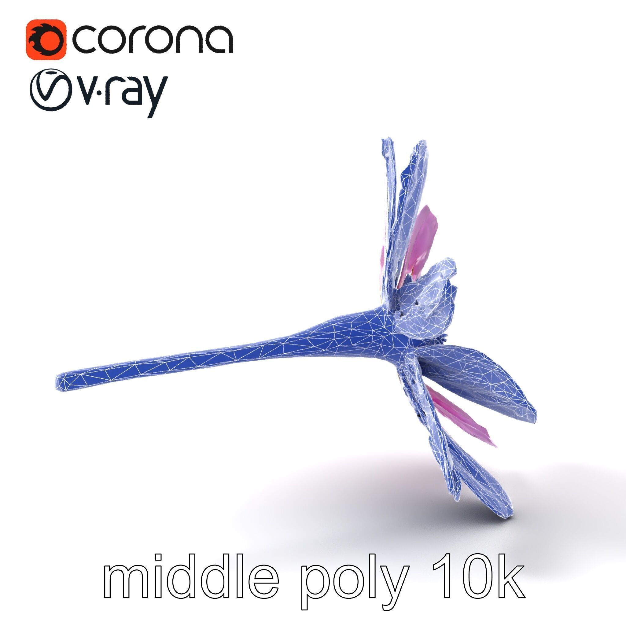 Lavandula Pink Botanical Sculpture model pack Low-poly 3D model_16