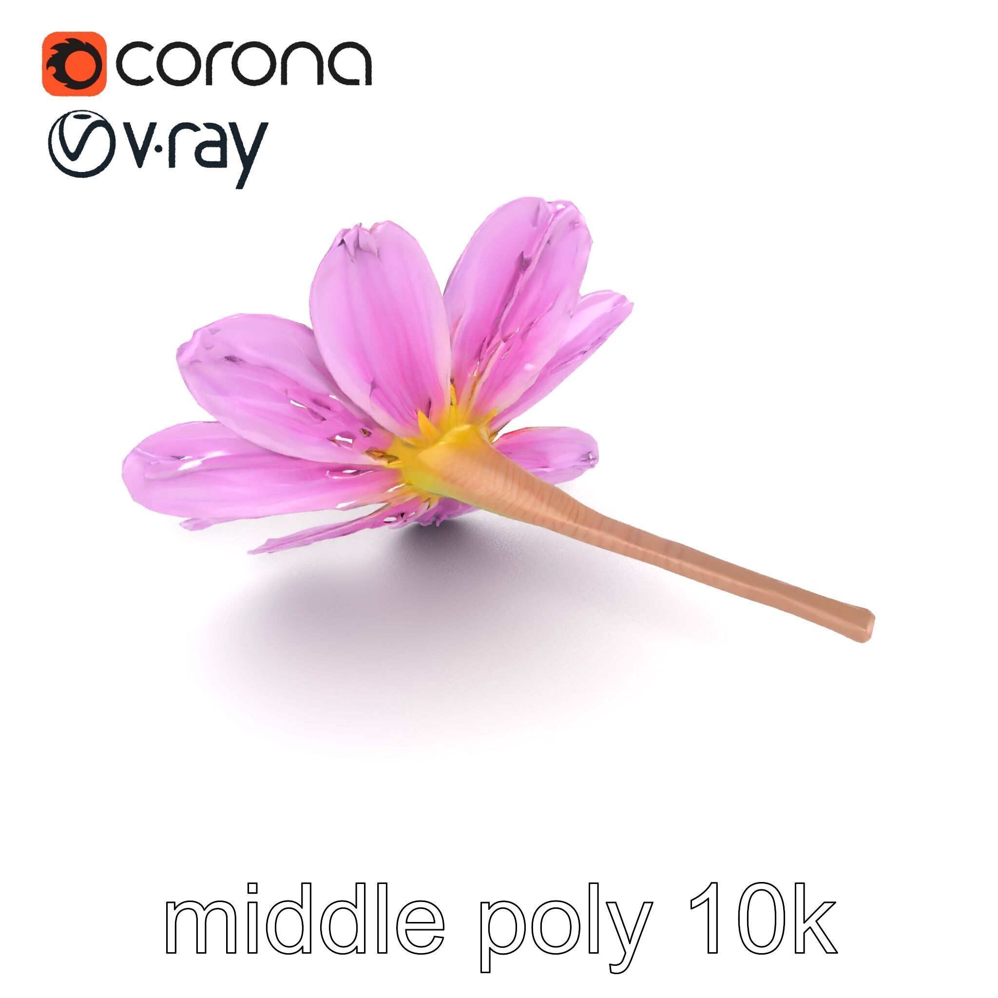 Lavandula Pink Botanical Sculpture model pack Low-poly 3D model_26