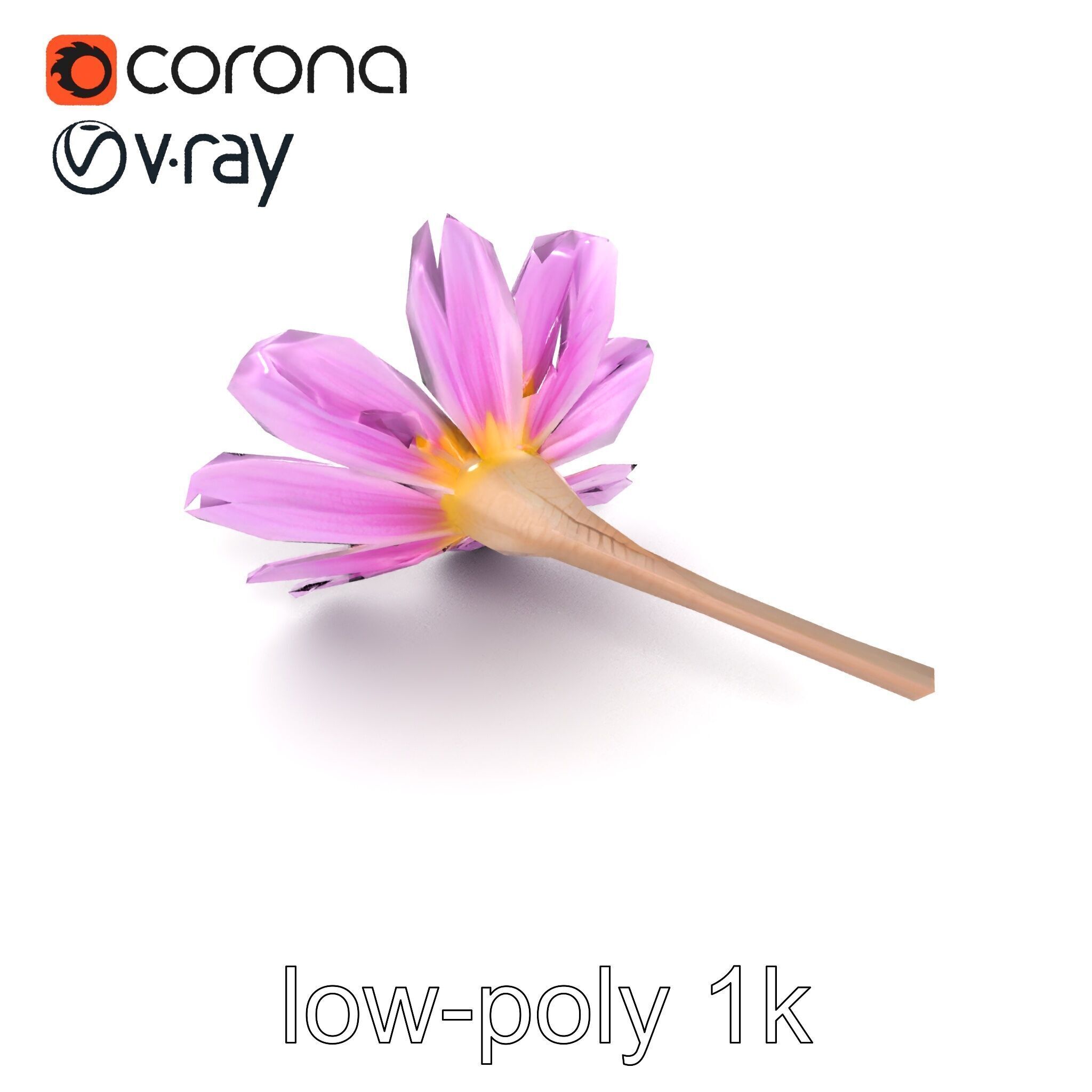 Lavandula Pink Botanical Sculpture model pack Low-poly 3D model_23