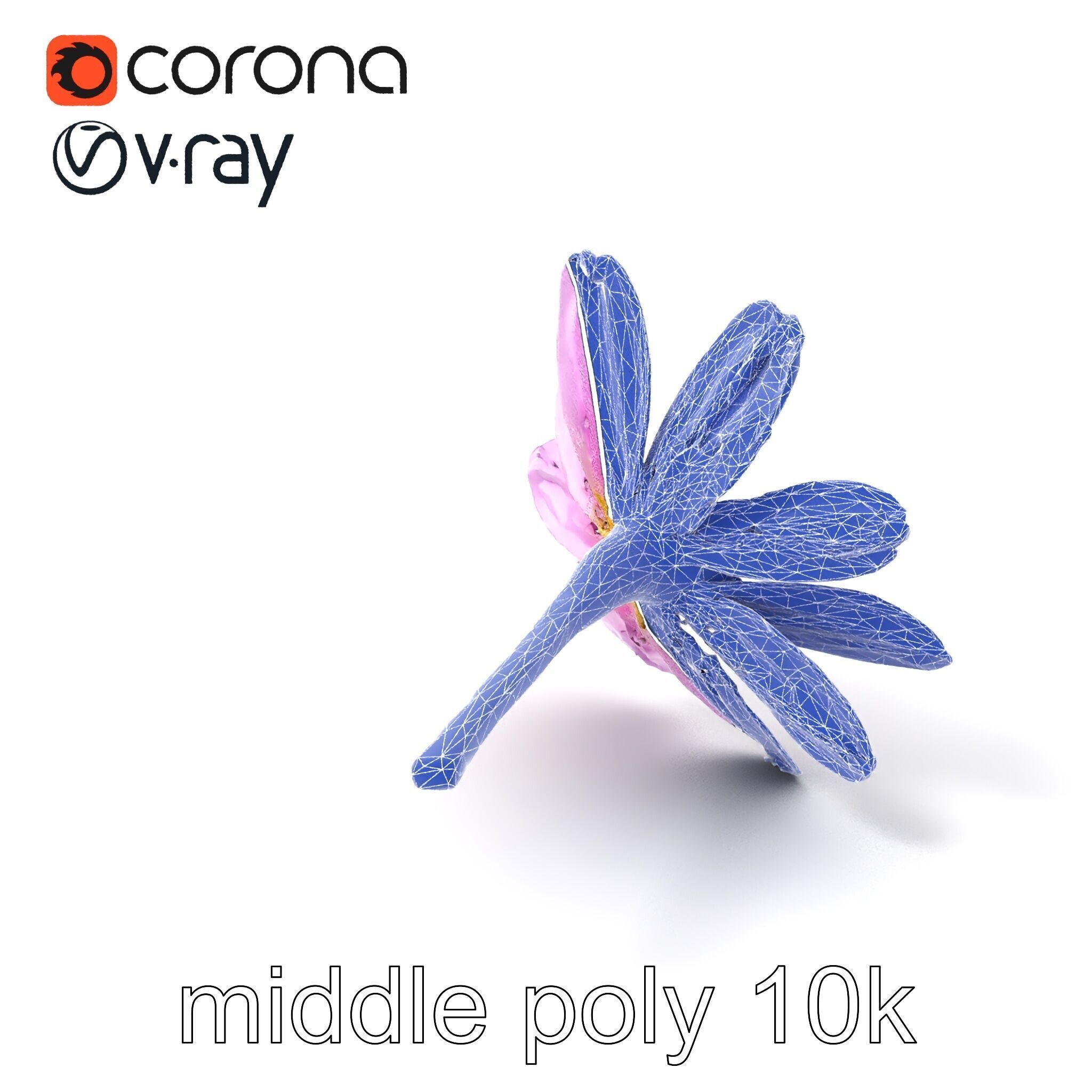 Lavandula Pink Botanical Sculpture model pack Low-poly 3D model_5