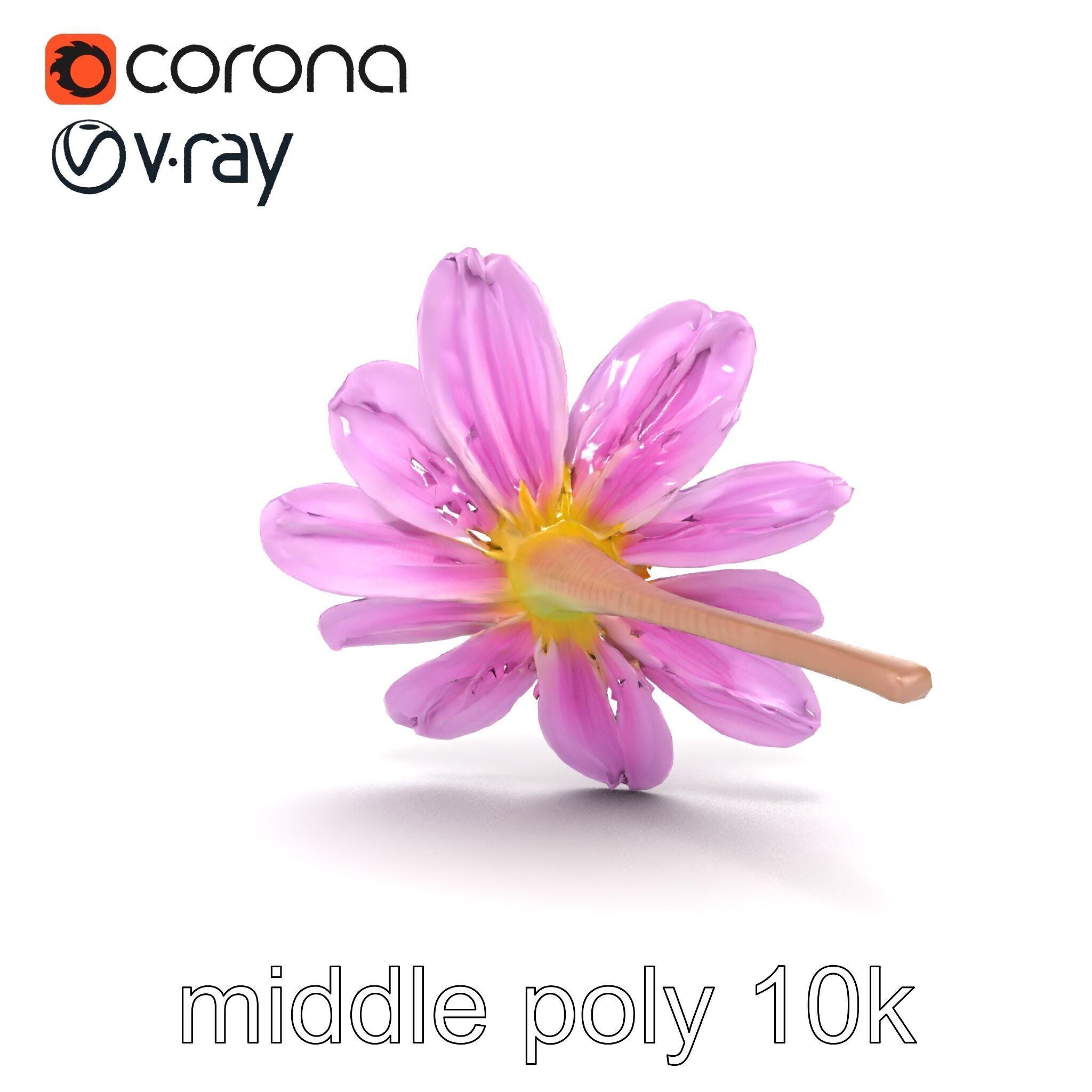 Lavandula Pink Botanical Sculpture model pack Low-poly 3D model_20