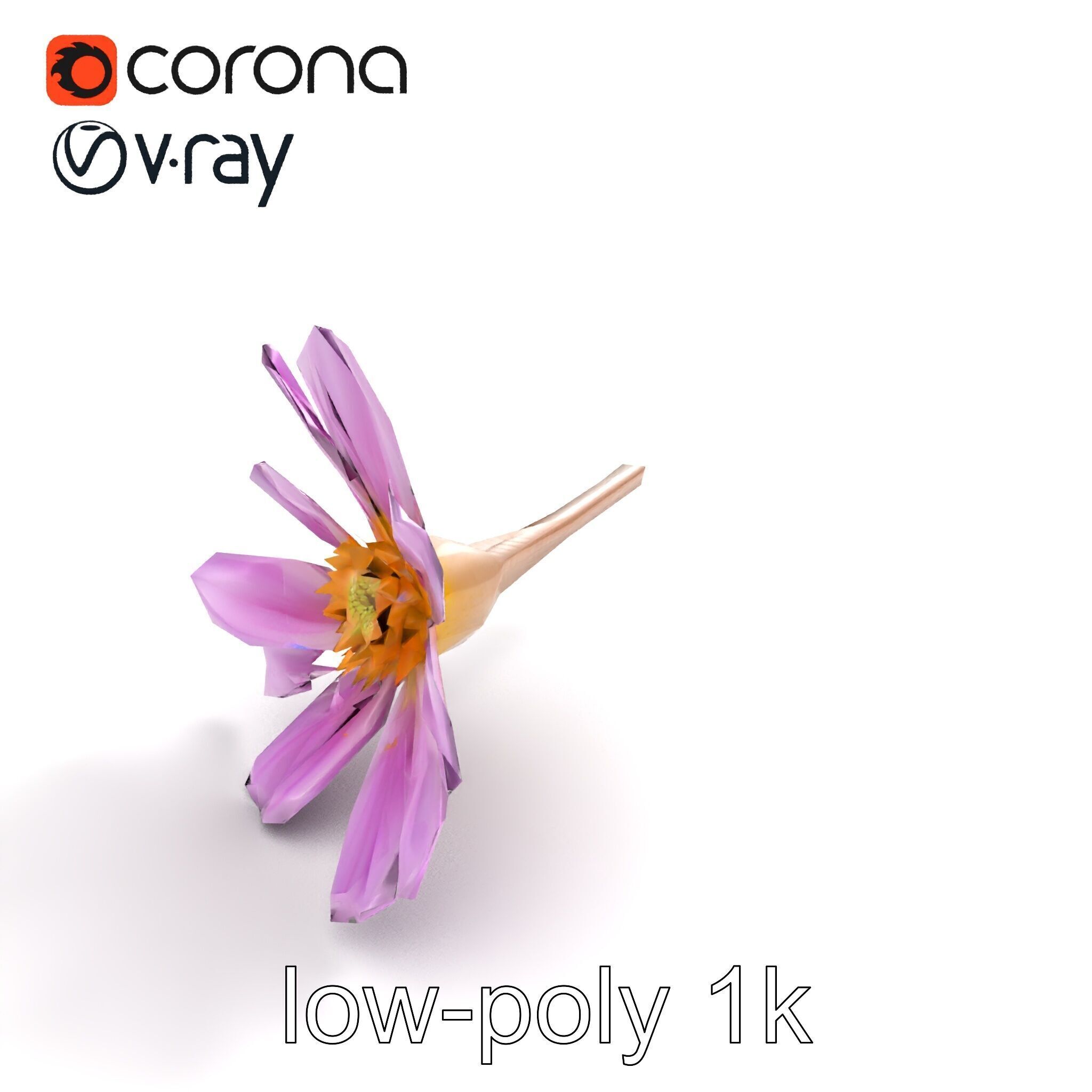Lavandula Pink Botanical Sculpture model pack Low-poly 3D model_8