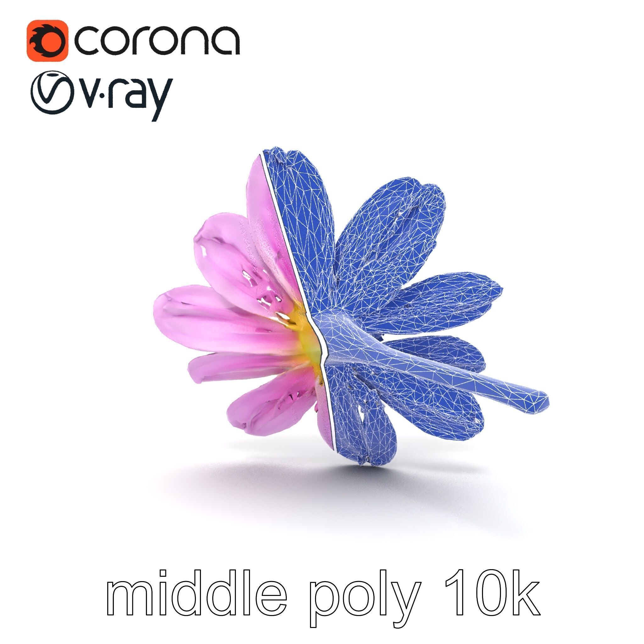 Lavandula Pink Botanical Sculpture model pack Low-poly 3D model_27