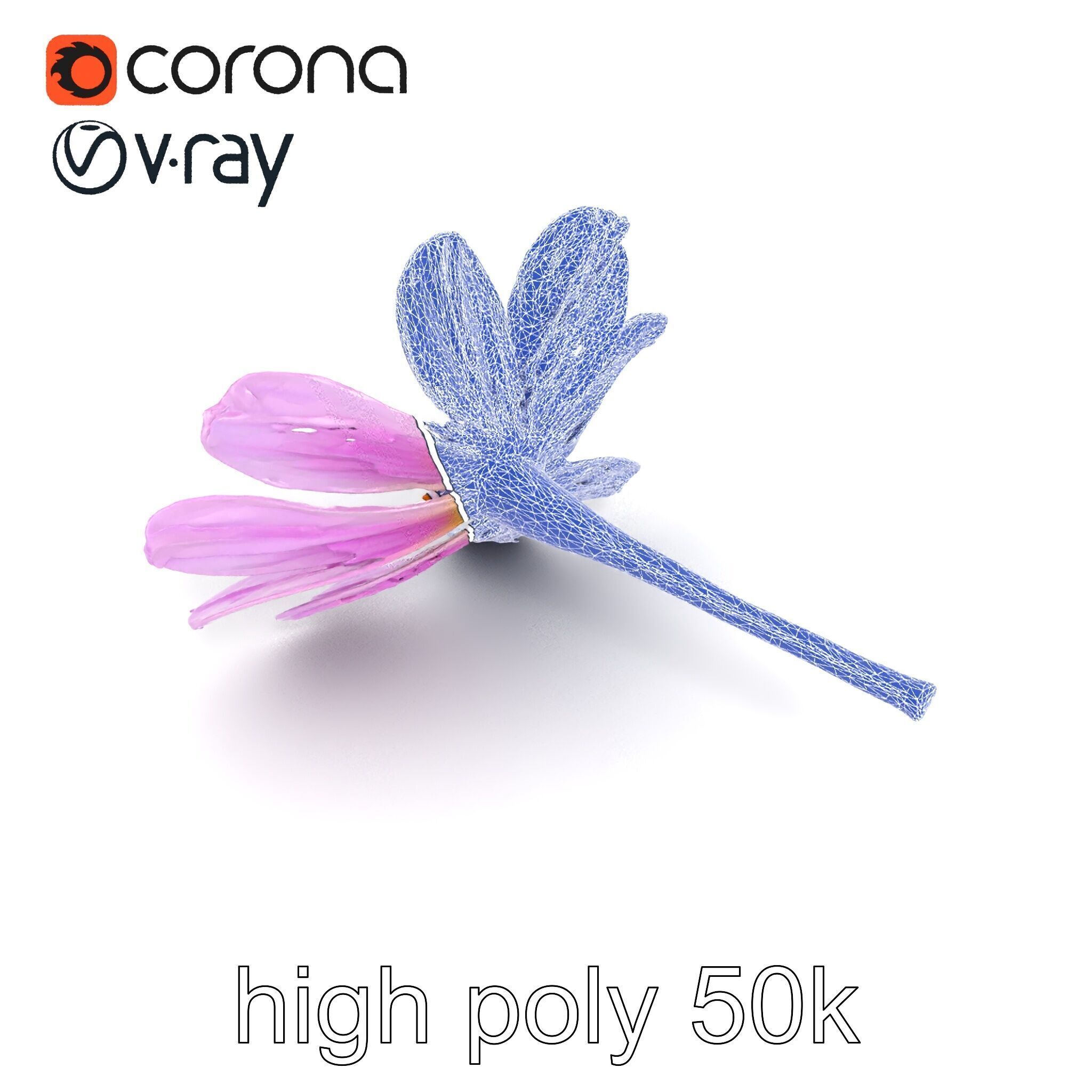 Lavandula Pink Botanical Sculpture model pack Low-poly 3D model_22