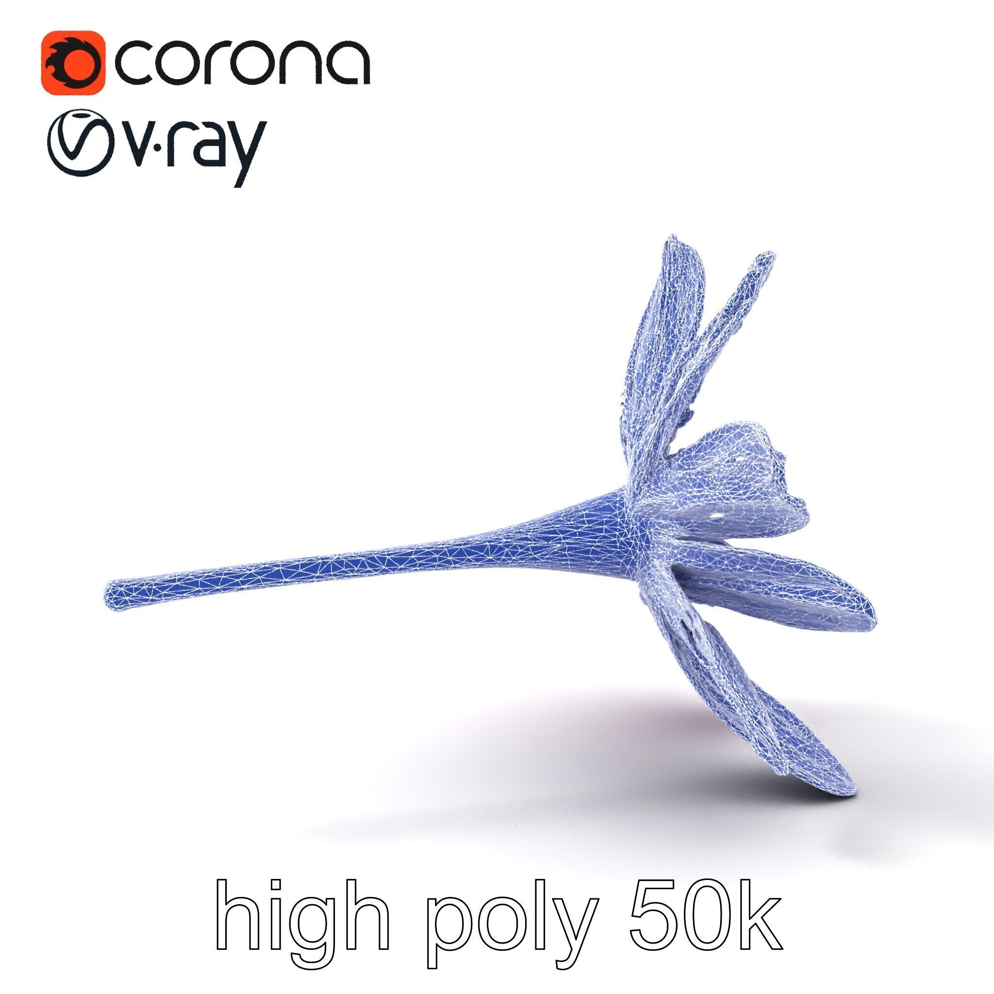 Lavandula Pink Botanical Sculpture model pack Low-poly 3D model_14