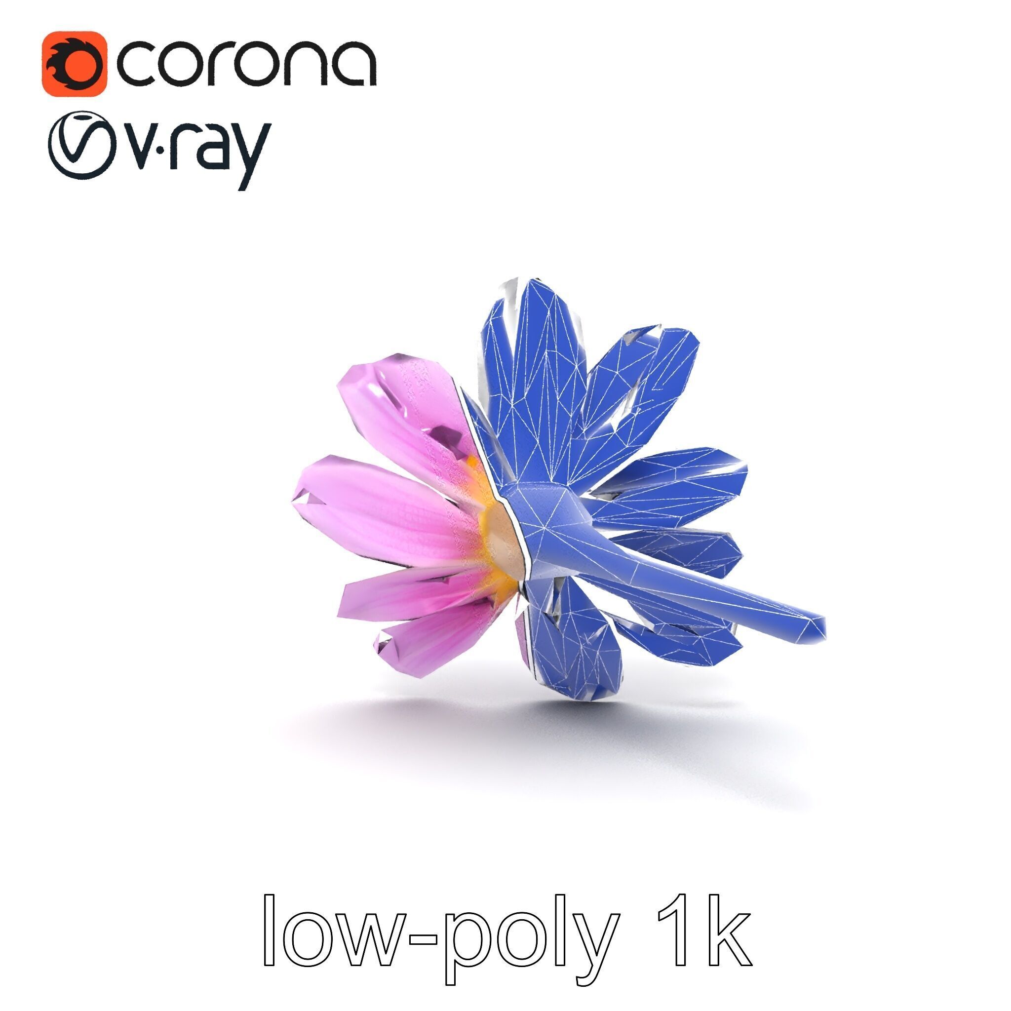 Lavandula Pink Botanical Sculpture model pack Low-poly 3D model_15