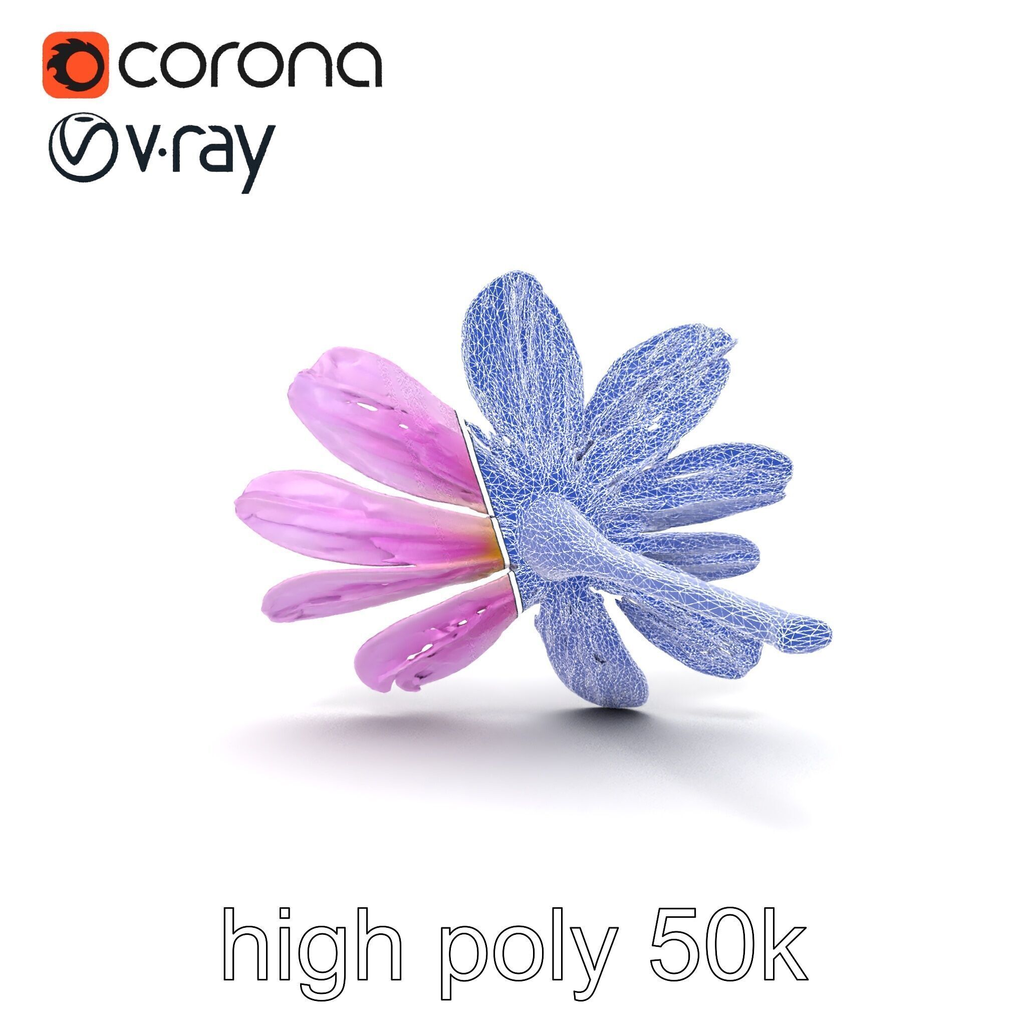 Lavandula Pink Botanical Sculpture model pack Low-poly 3D model_29