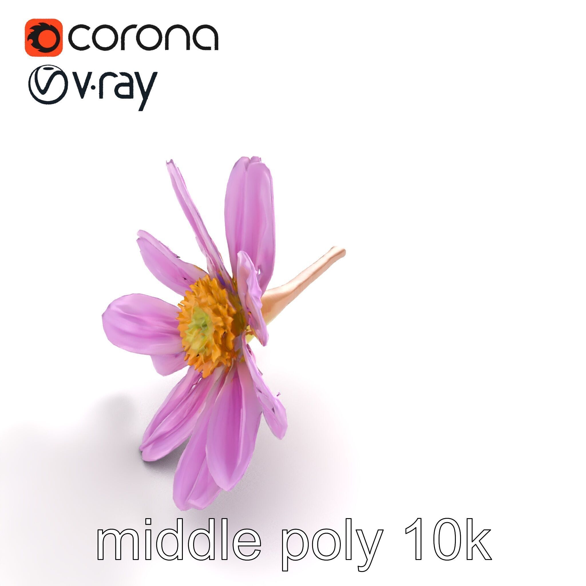 Lavandula Pink Botanical Sculpture model pack Low-poly 3D model_7