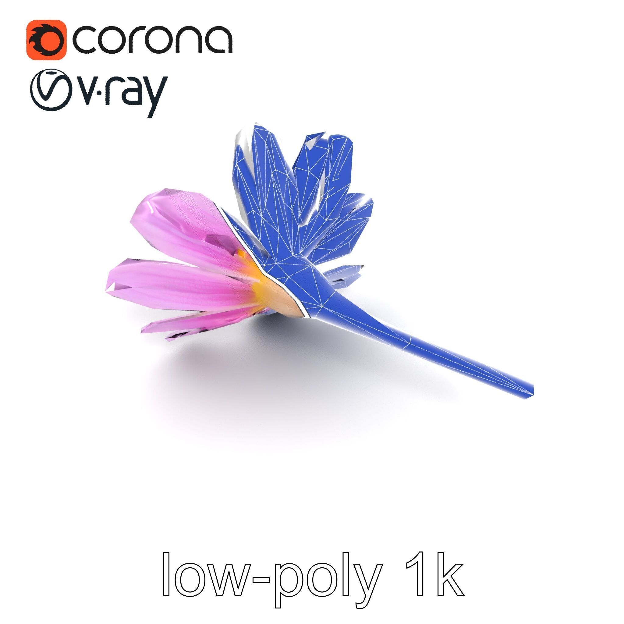 Lavandula Pink Botanical Sculpture model pack Low-poly 3D model_17