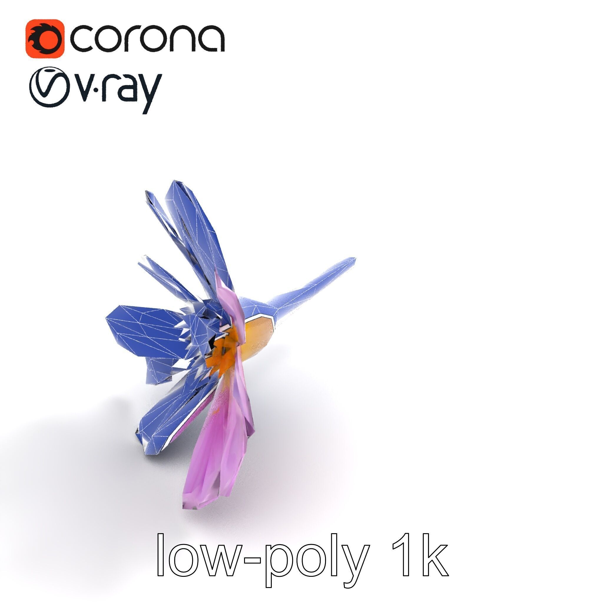 Lavandula Pink Botanical Sculpture model pack Low-poly 3D model_11