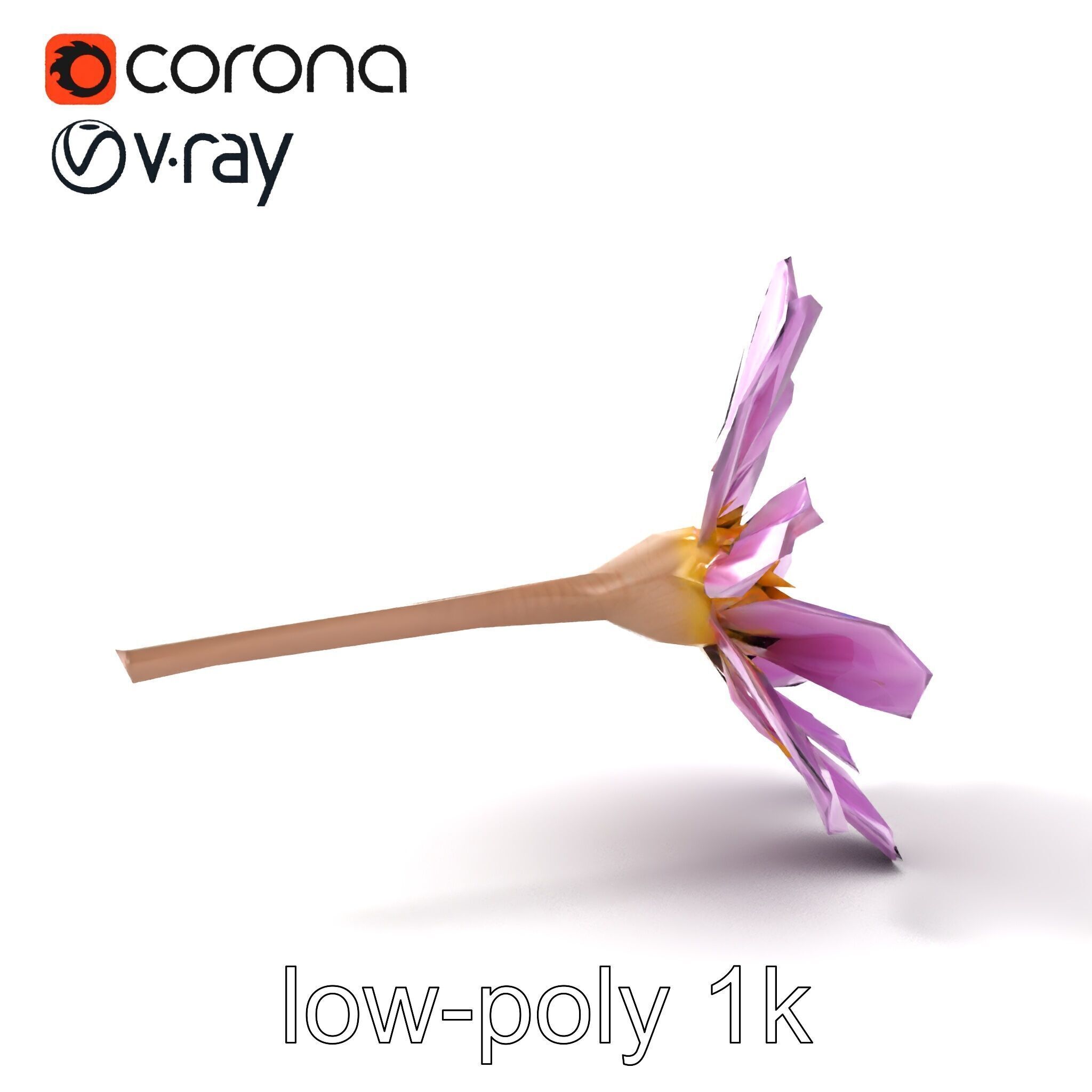 Lavandula Pink Botanical Sculpture model pack Low-poly 3D model_21