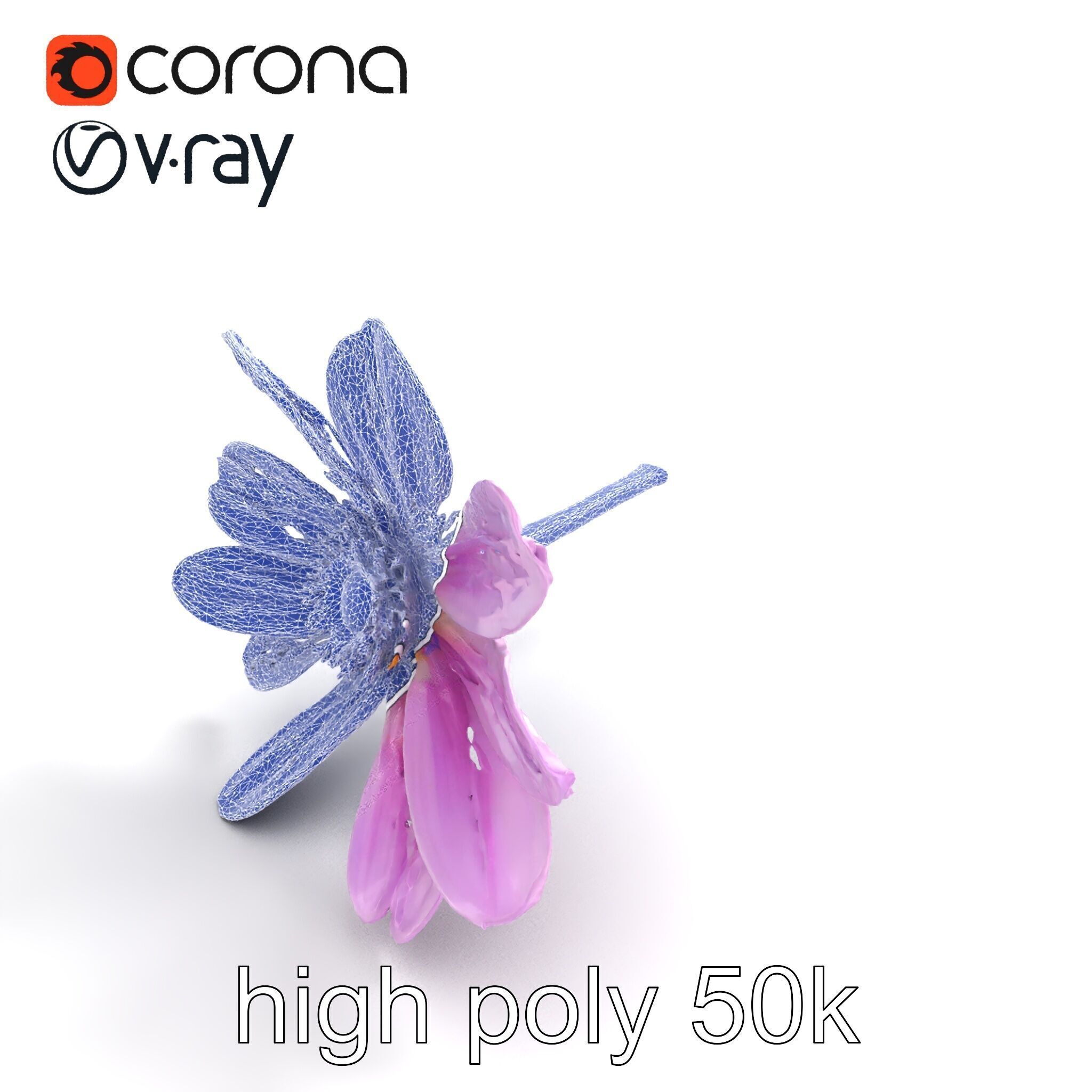 Lavandula Pink Botanical Sculpture model pack Low-poly 3D model_18