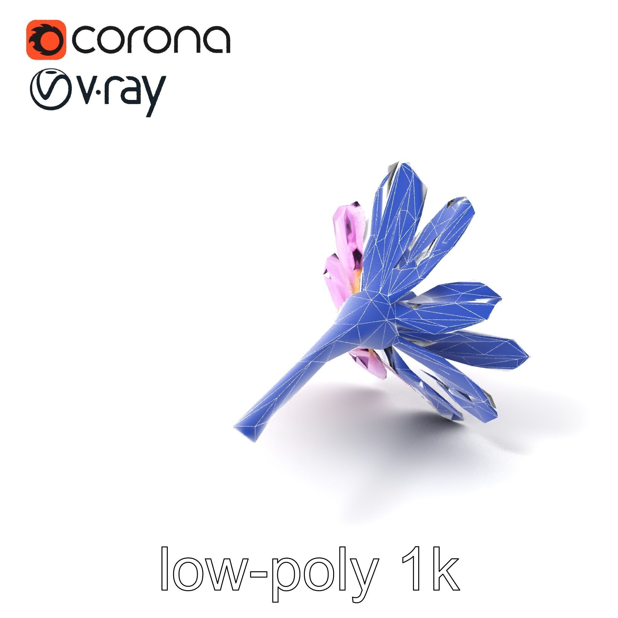 Lavandula Pink Botanical Sculpture model pack Low-poly 3D model_6