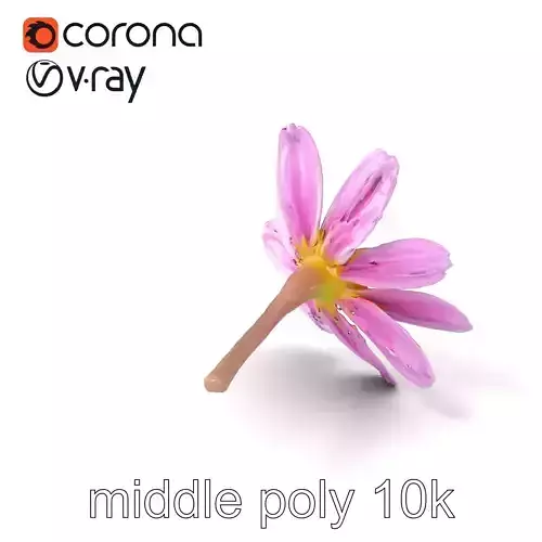 Lavandula Pink Botanical Sculpture model pack Low-poly 3D model Lavandula Pink Botanical Sculpture model pack Low-poly 3D model