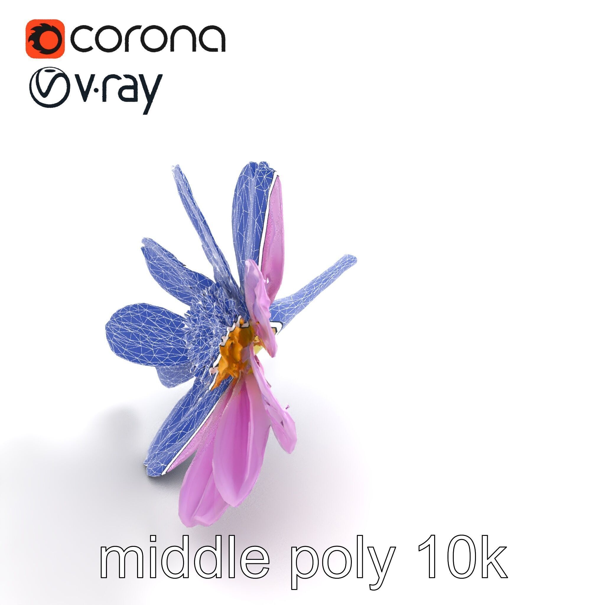 Lavandula Pink Botanical Sculpture model pack Low-poly 3D model_10