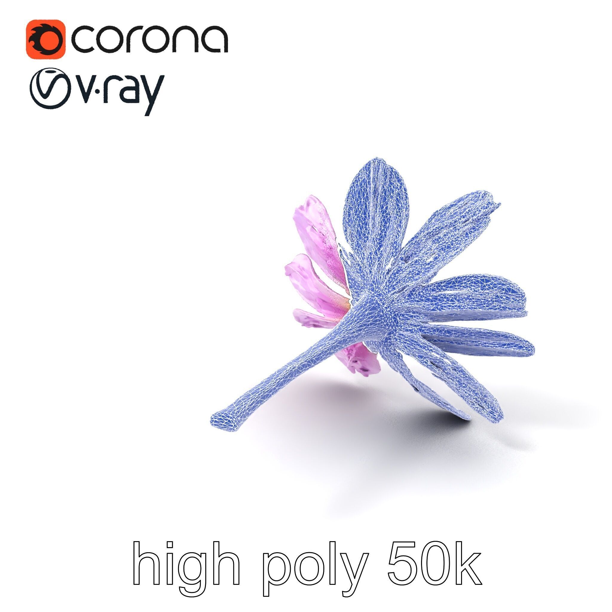 Lavandula Pink Botanical Sculpture model pack Low-poly 3D model_1