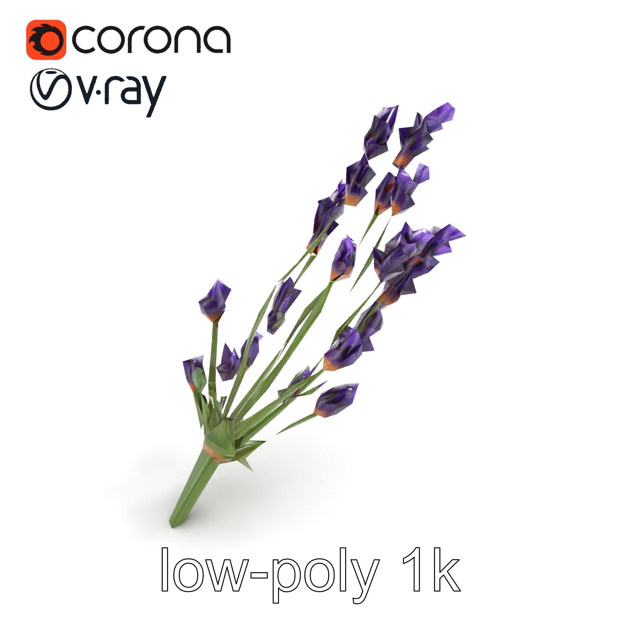 Lavender Flower Detailed Sculpture model pack Low-poly 3D model_8
