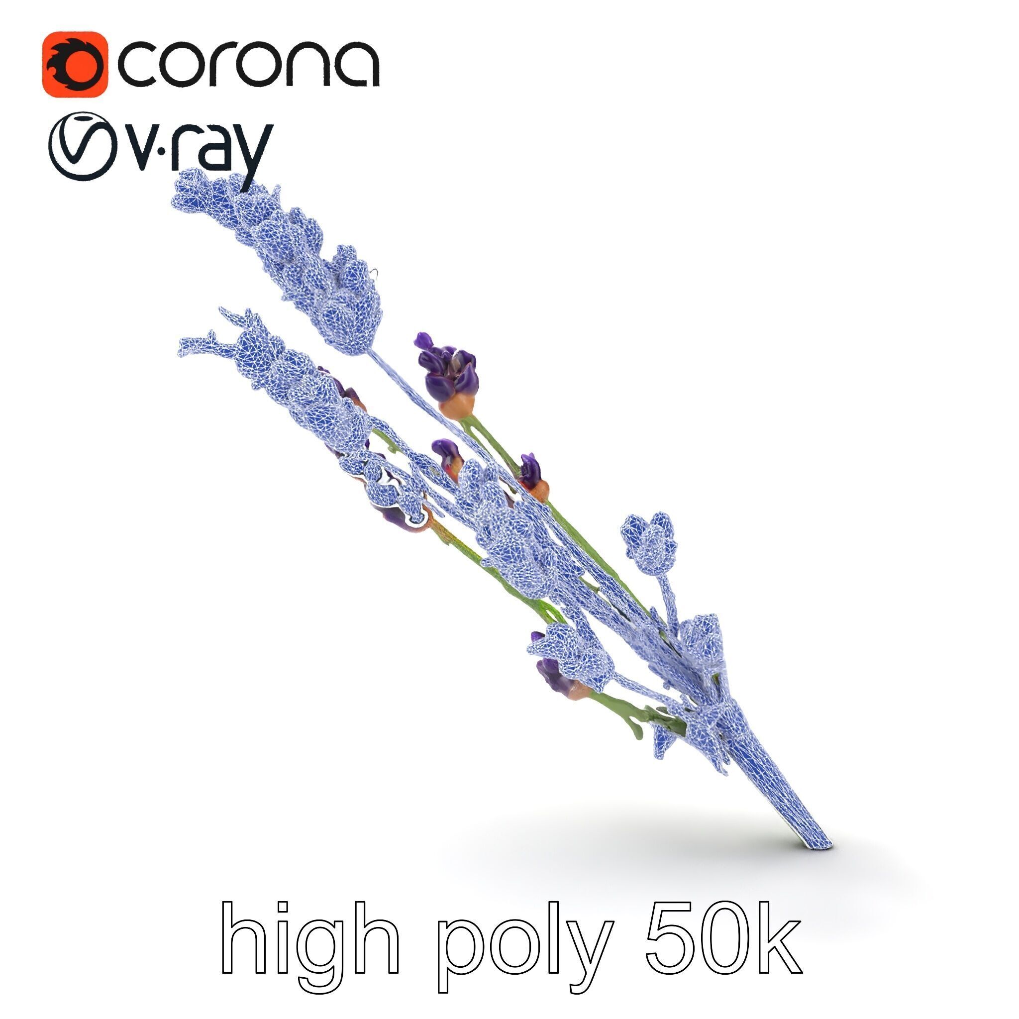 Lavender Flower Detailed Sculpture model pack Low-poly 3D model_27