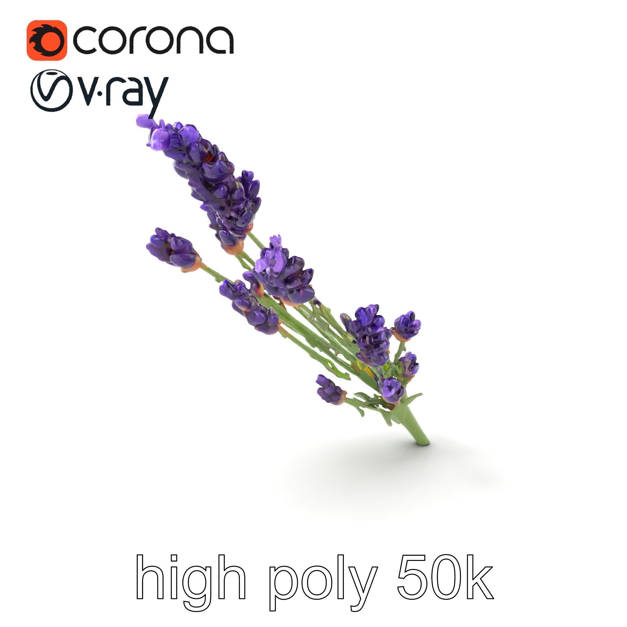 Lavender Flower Detailed Sculpture model pack Low-poly 3D model_2