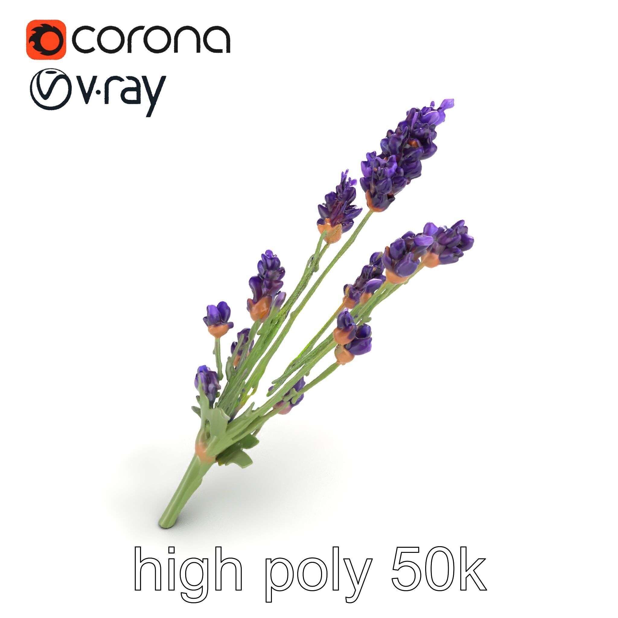 Lavender Flower Detailed Sculpture model pack Low-poly 3D model_9