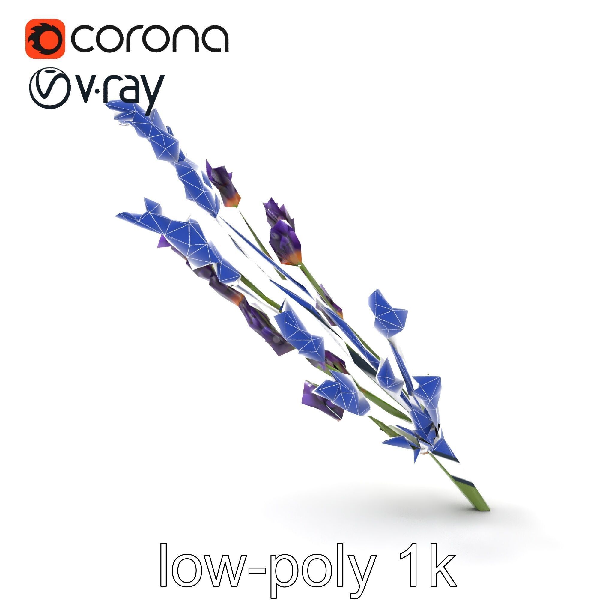 Lavender Flower Detailed Sculpture model pack Low-poly 3D model_18
