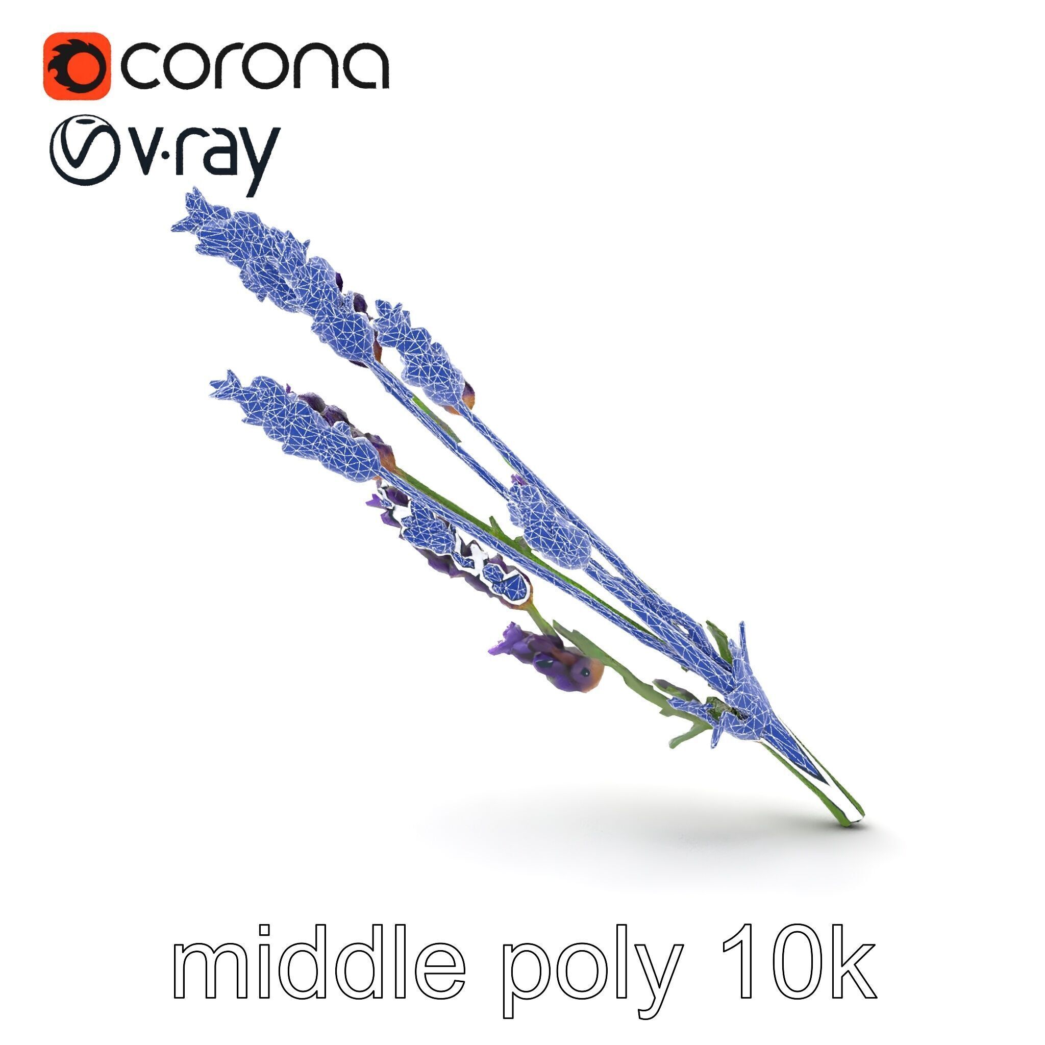 Lavender Flower Detailed Sculpture model pack Low-poly 3D model_24