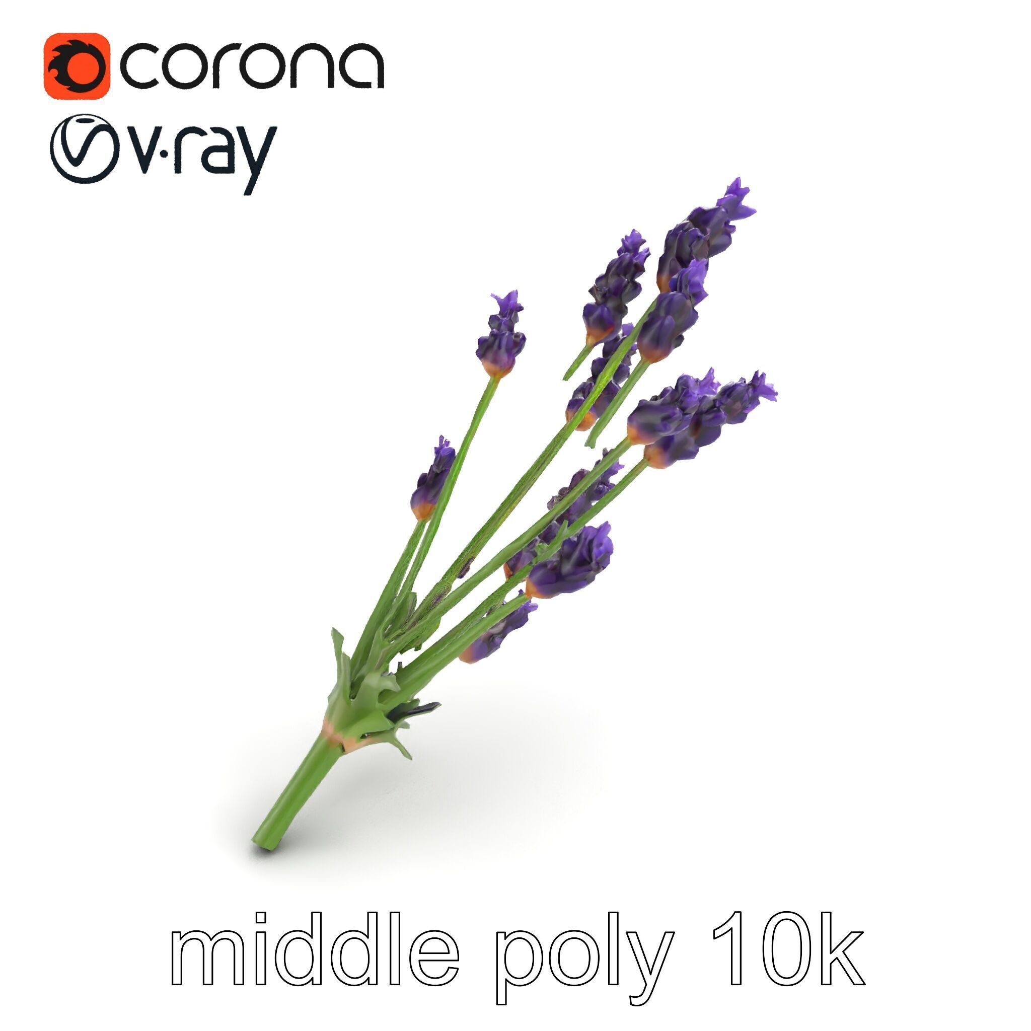 Lavender Flower Detailed Sculpture model pack Low-poly 3D model_7