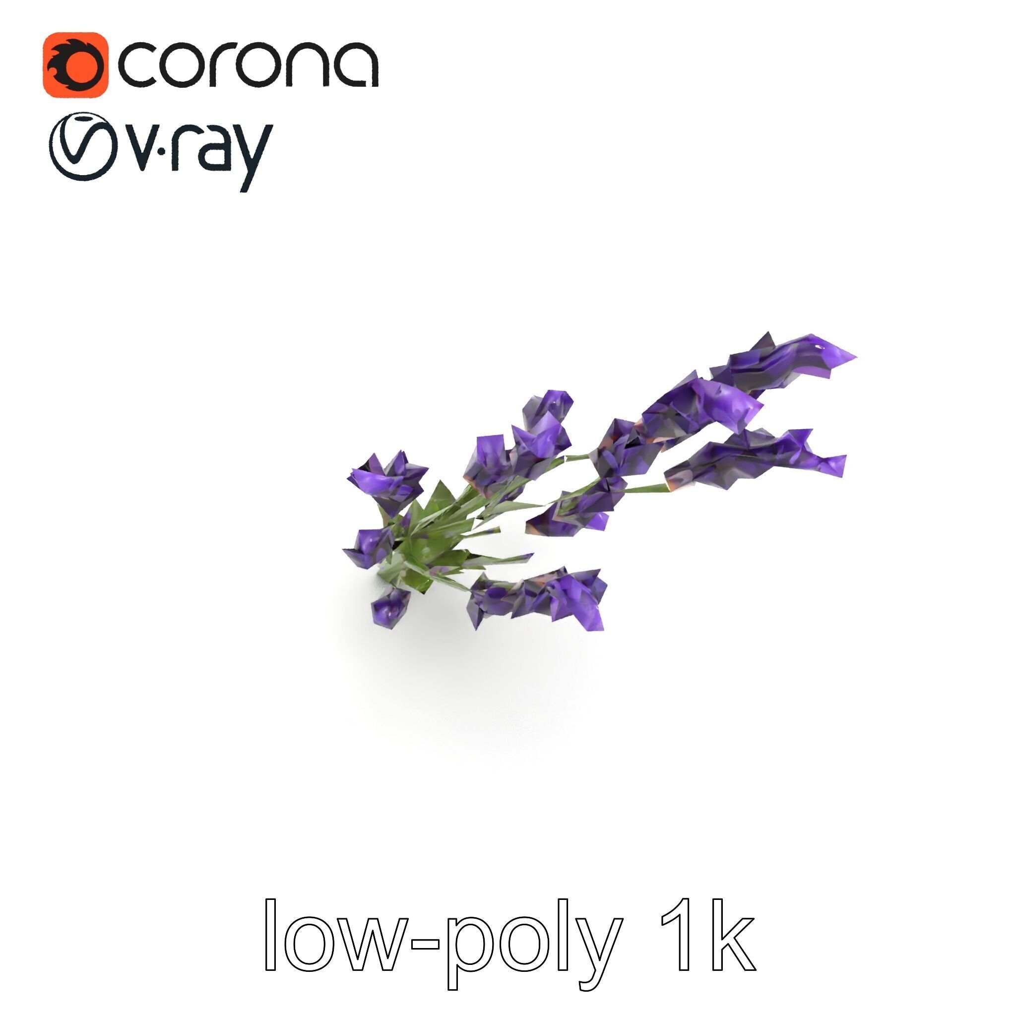 Lavender Flower Detailed Sculpture model pack Low-poly 3D model_16