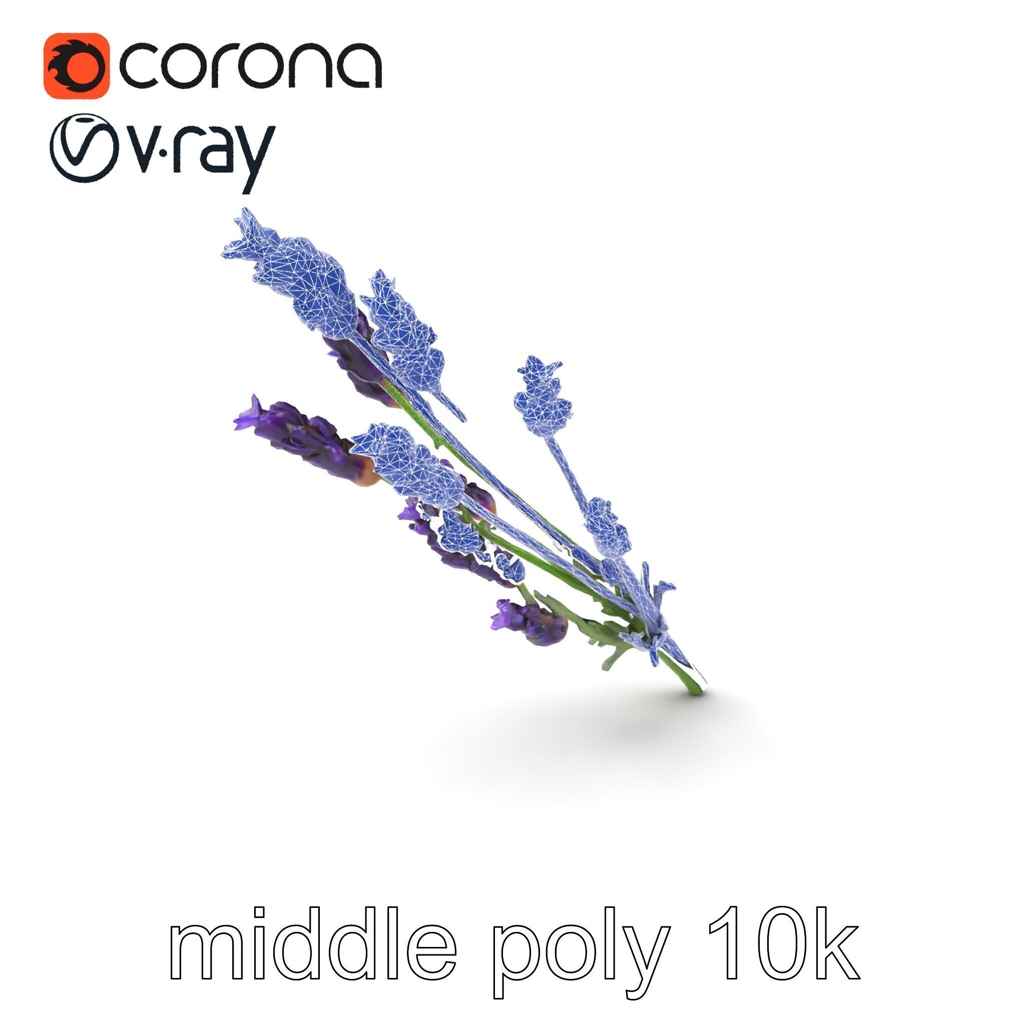 Lavender Flower Detailed Sculpture model pack Low-poly 3D model_5