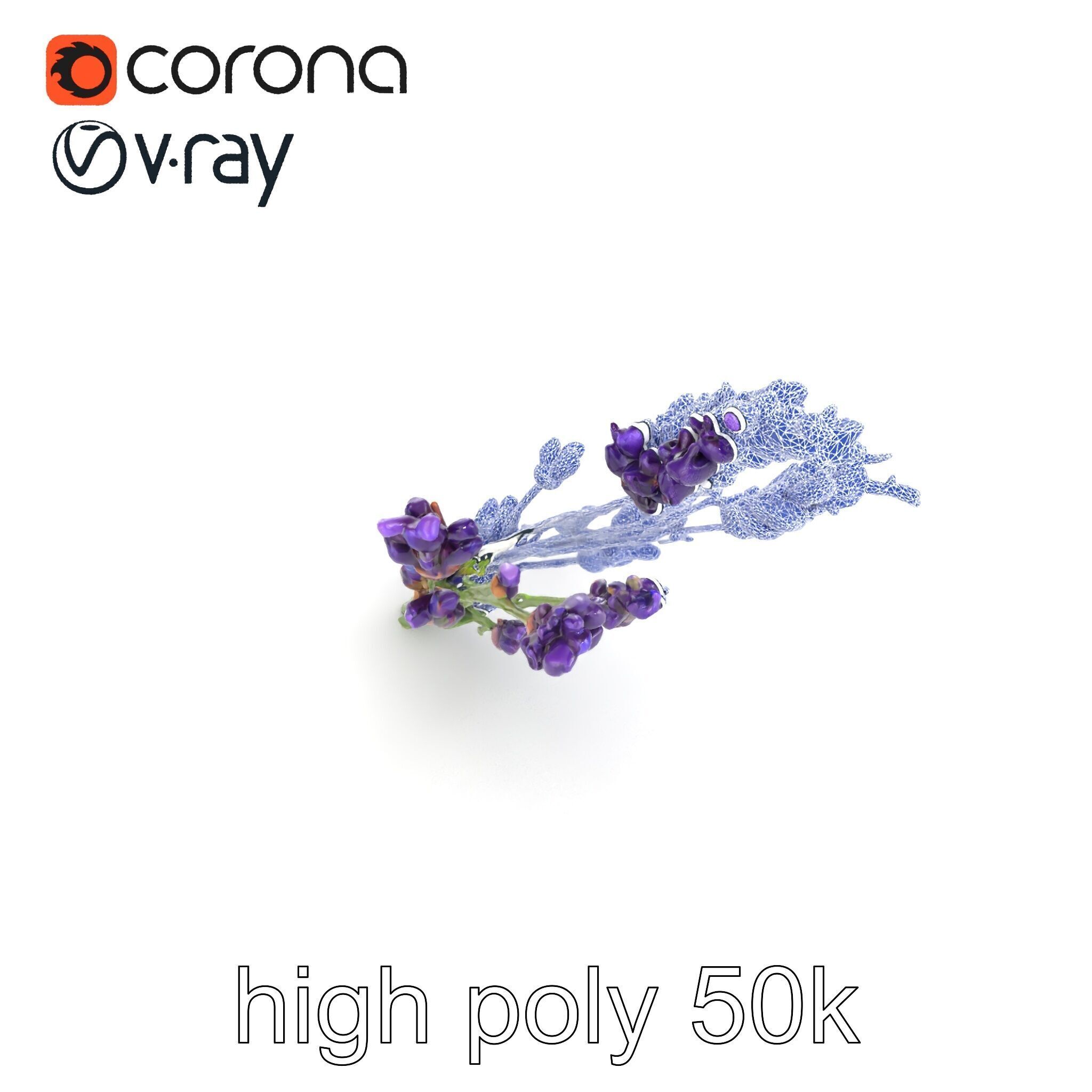 Lavender Flower Detailed Sculpture model pack Low-poly 3D model_12