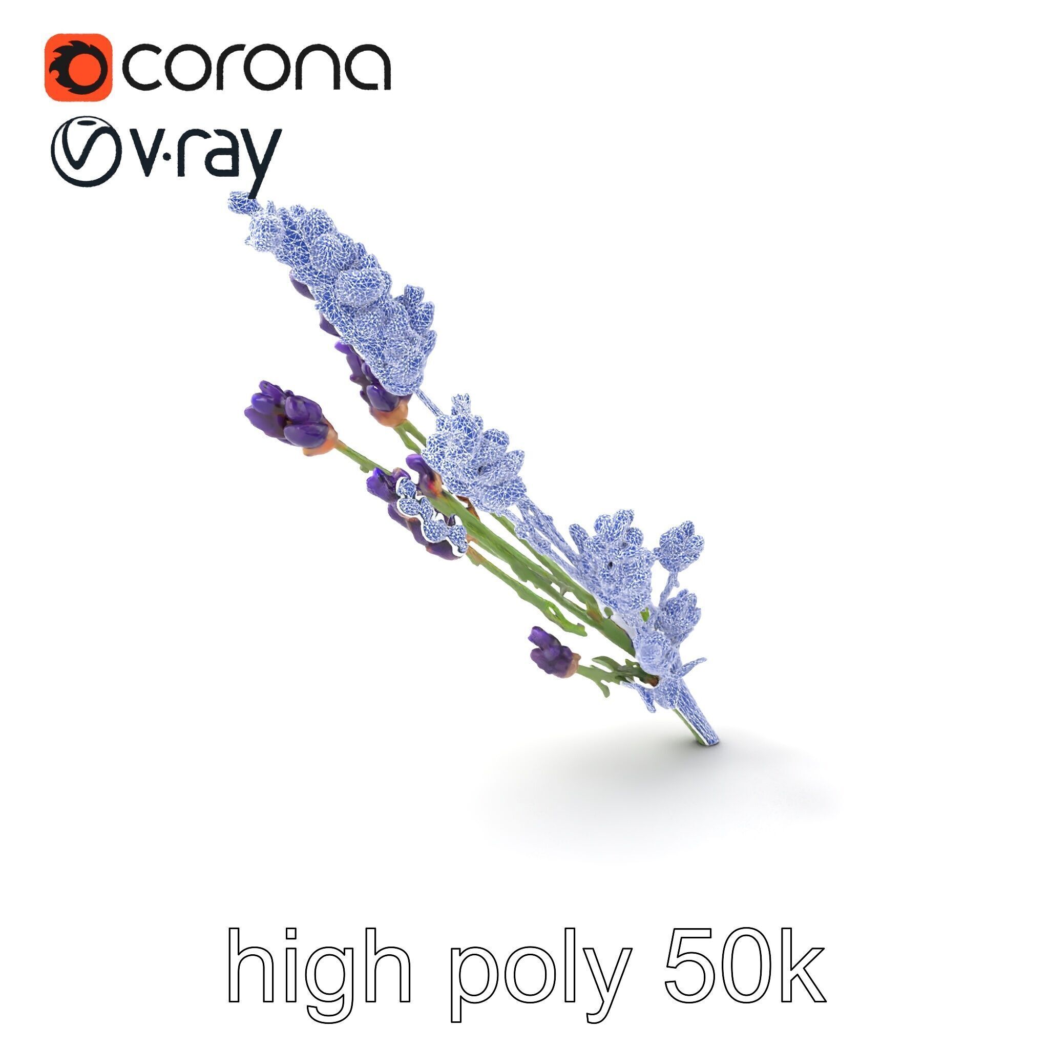 Lavender Flower Detailed Sculpture model pack Low-poly 3D model_1