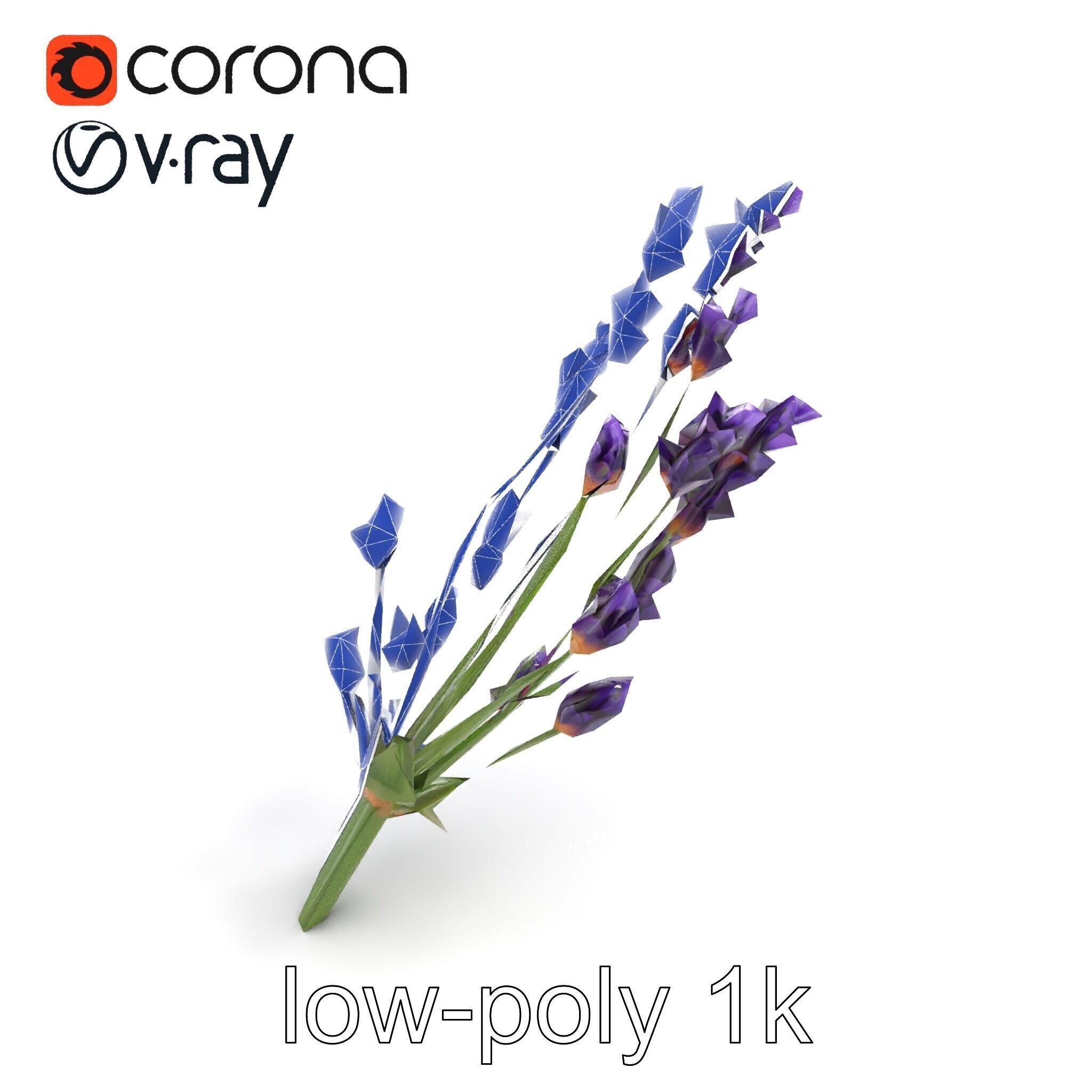 Lavender Flower Detailed Sculpture model pack Low-poly 3D model_23